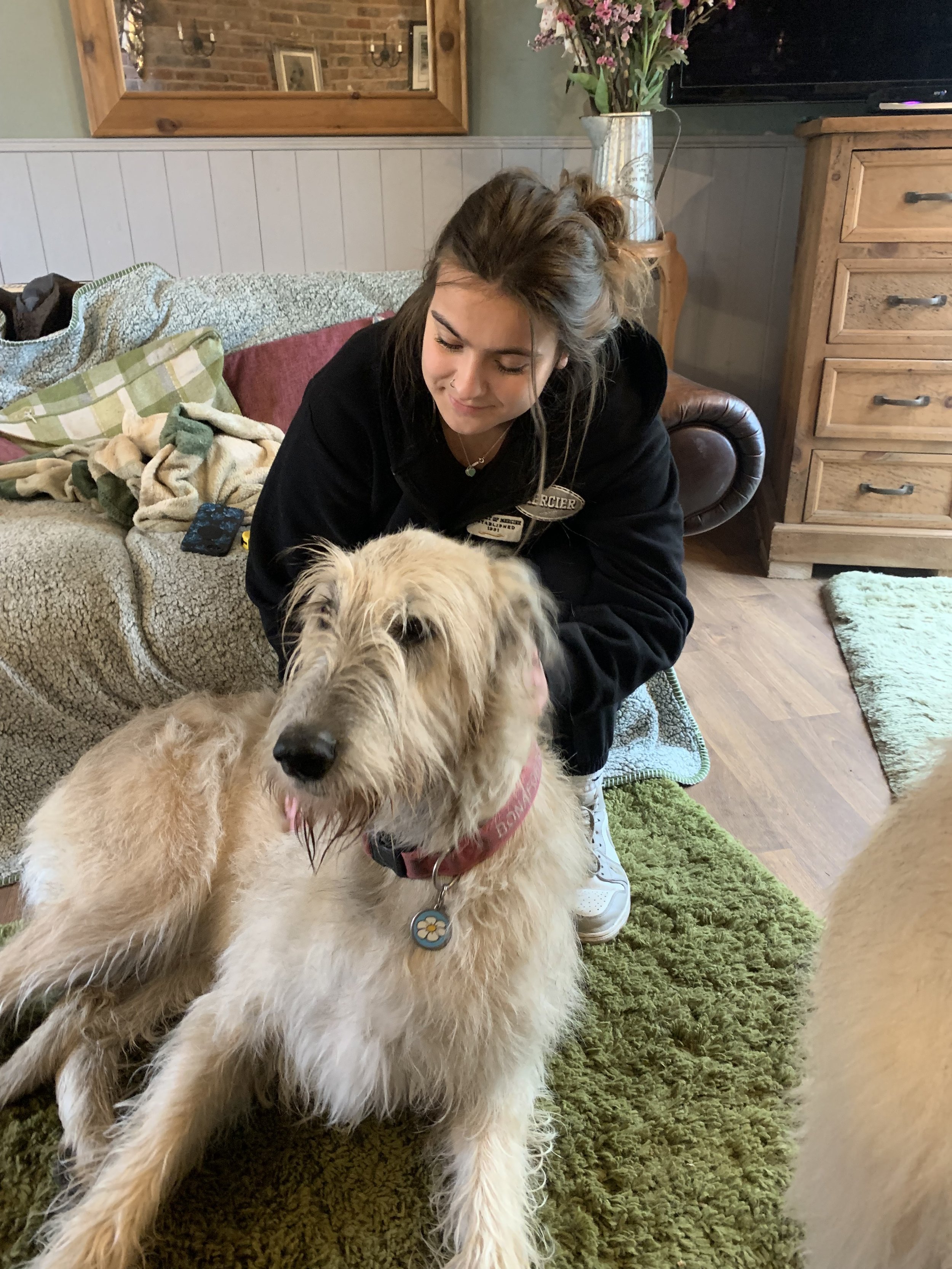 Meet And Greet (FREE)