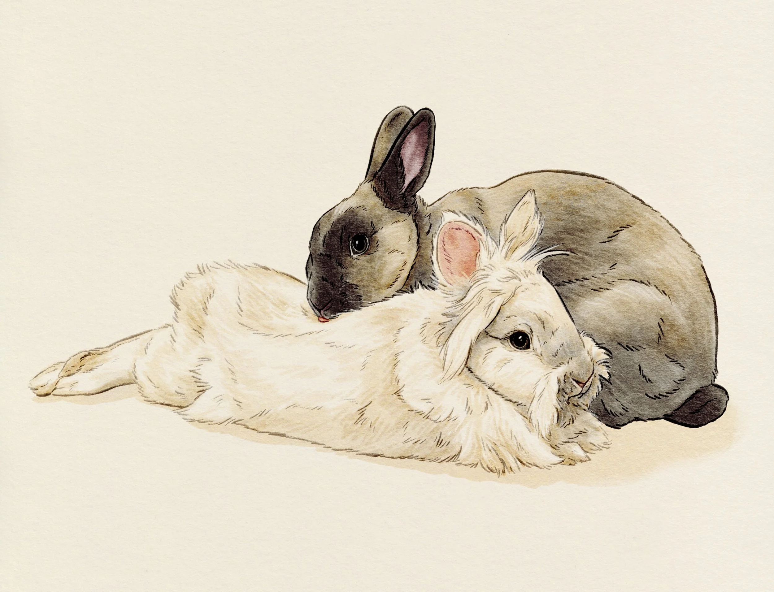 Commission "Fullbody Pet Portrait"