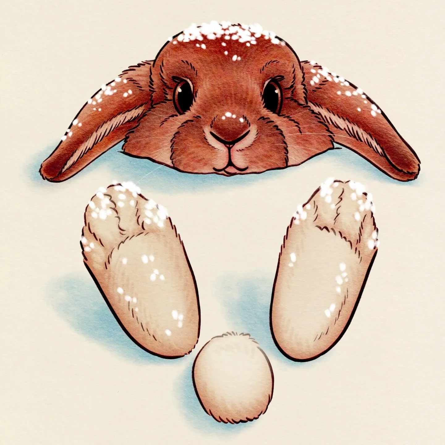 Little buddy is having fun in the snow 🥰

#snowbunny #snowfun❄️ #snowdays❄️ #cutebunnies #kawaiibunny