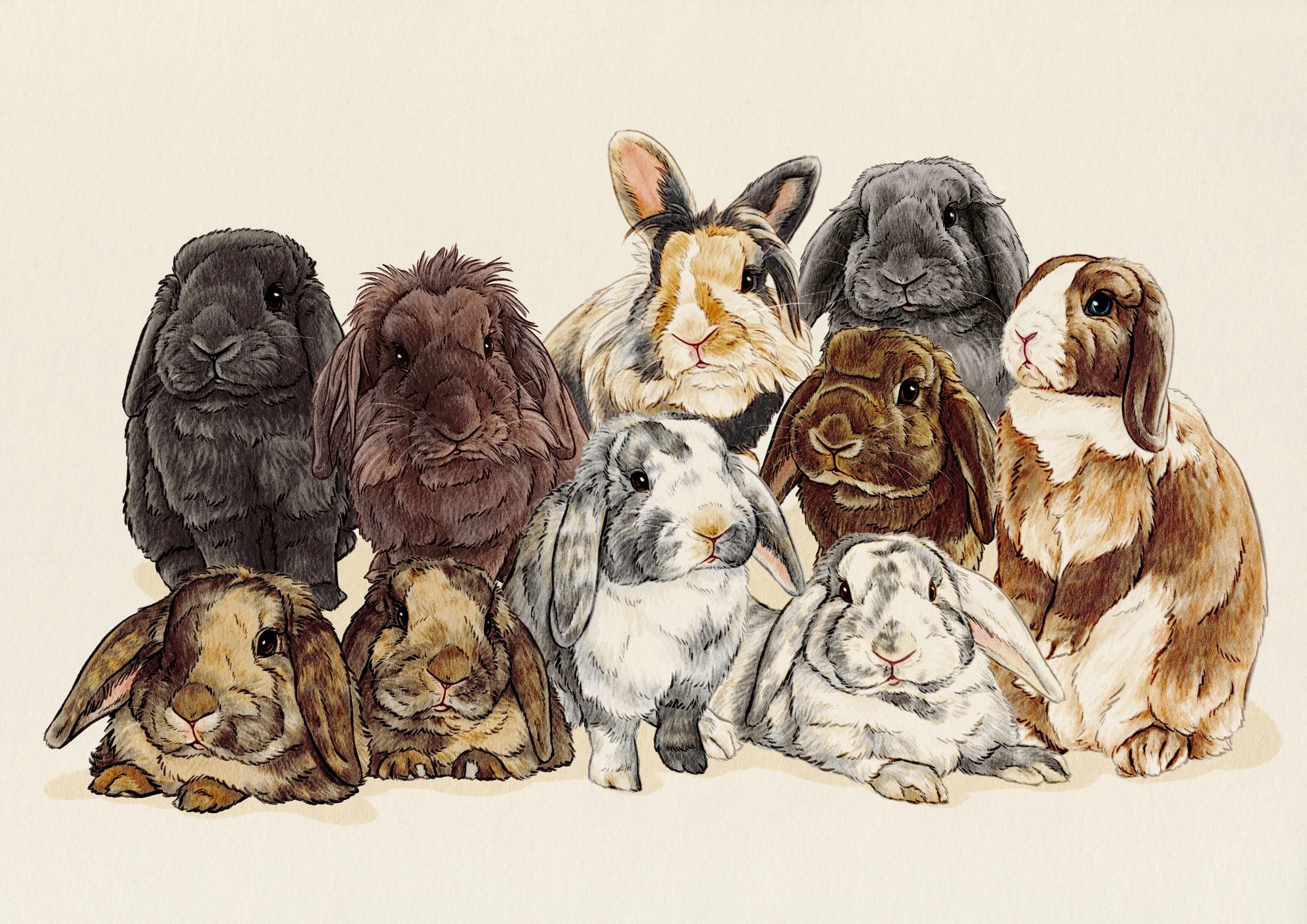 10bunnies.jpg