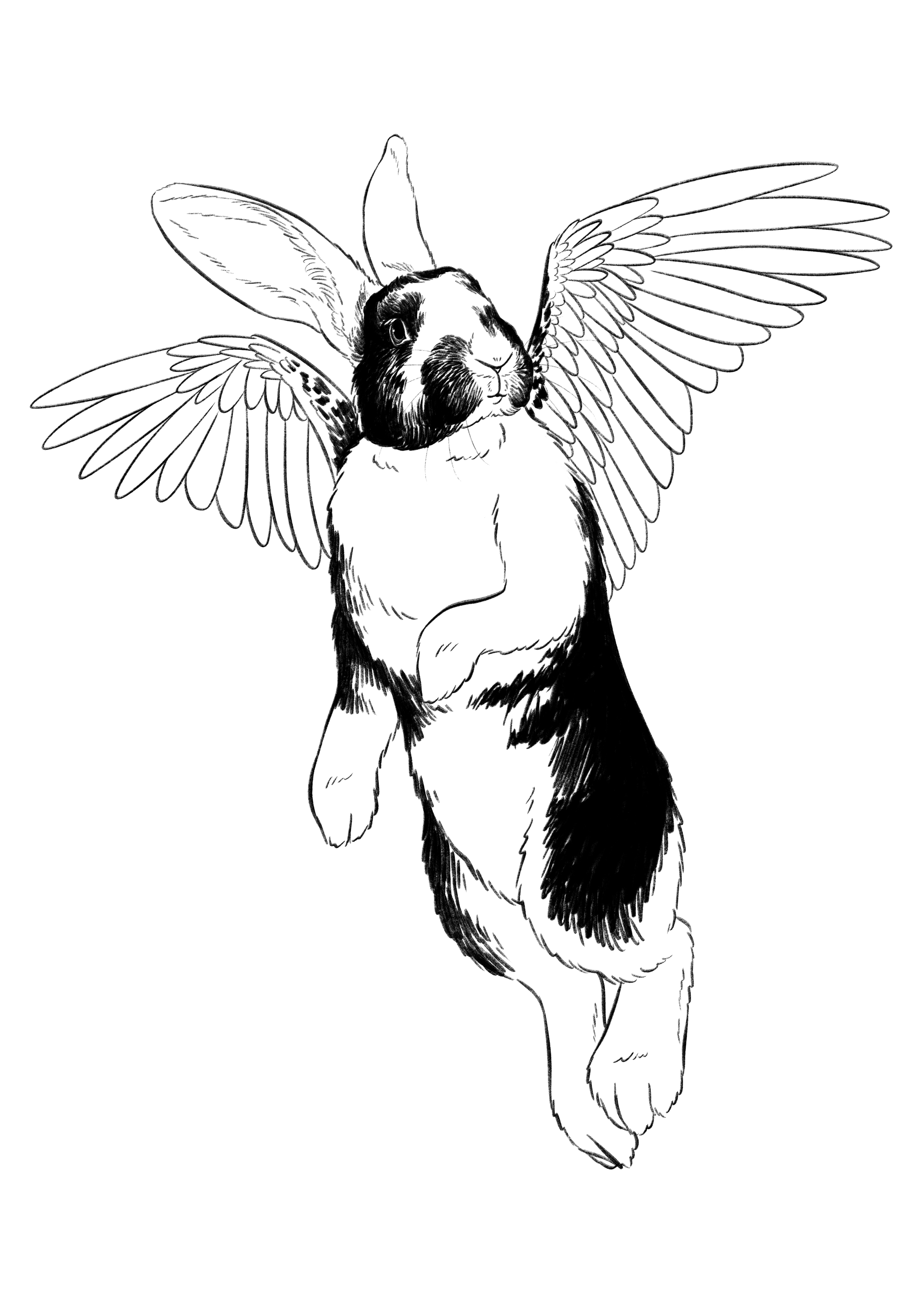 Dobby.png