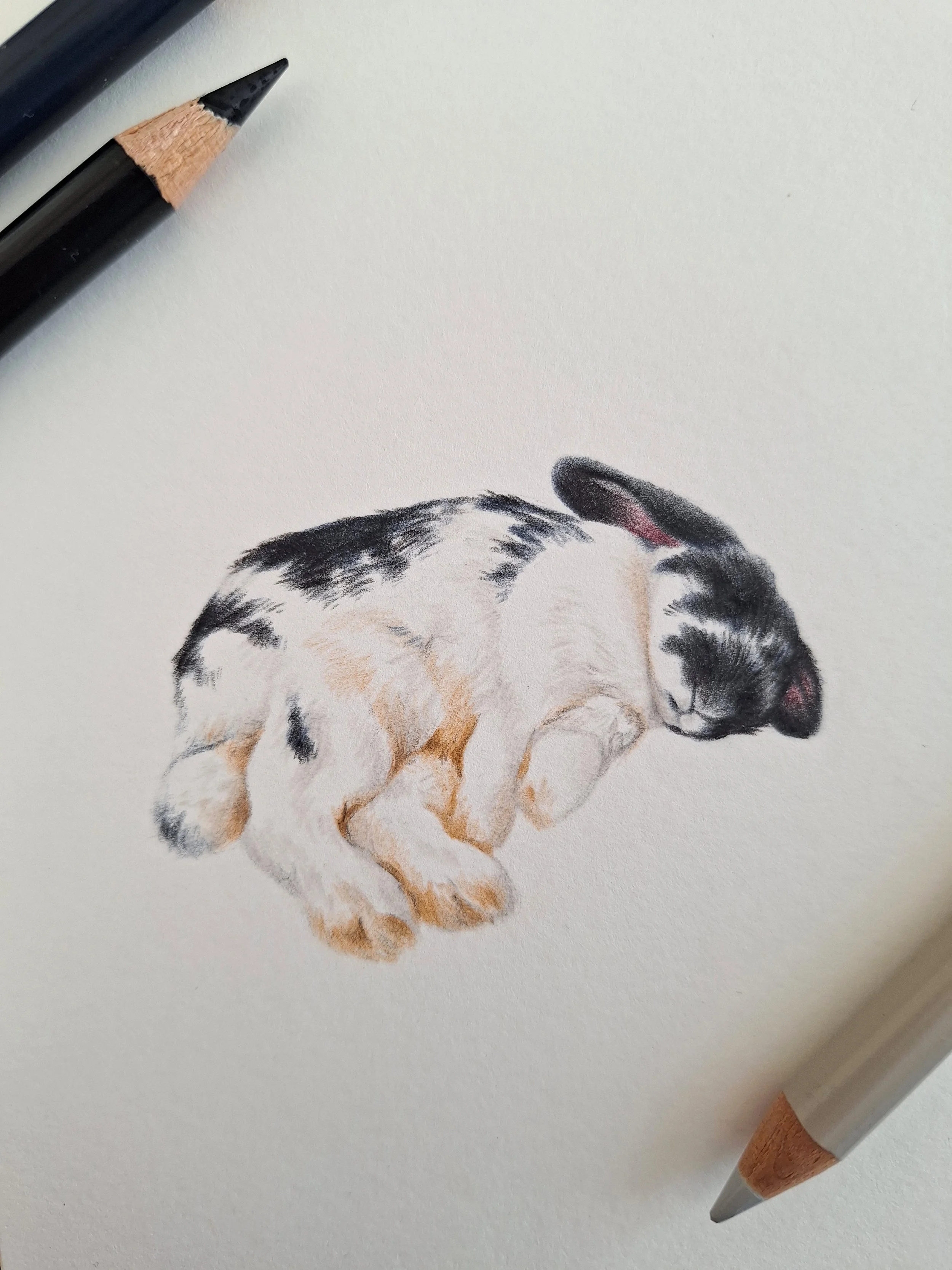 Smol1_Detail.jpg