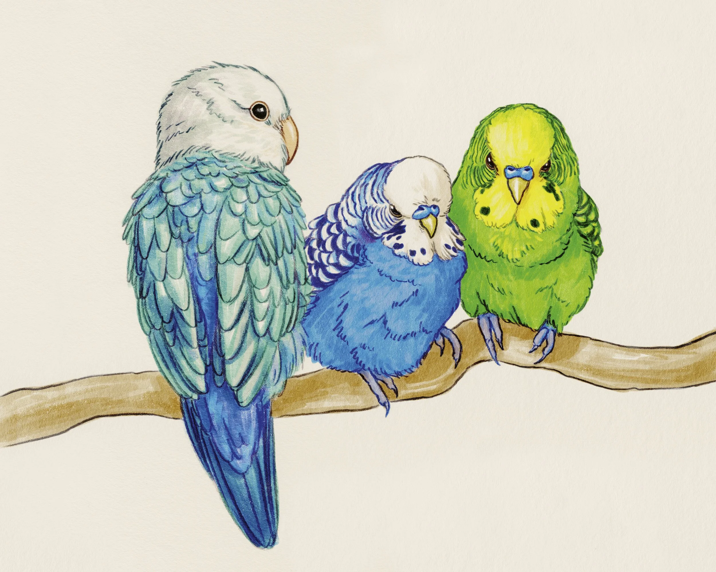 Birdies.JPG