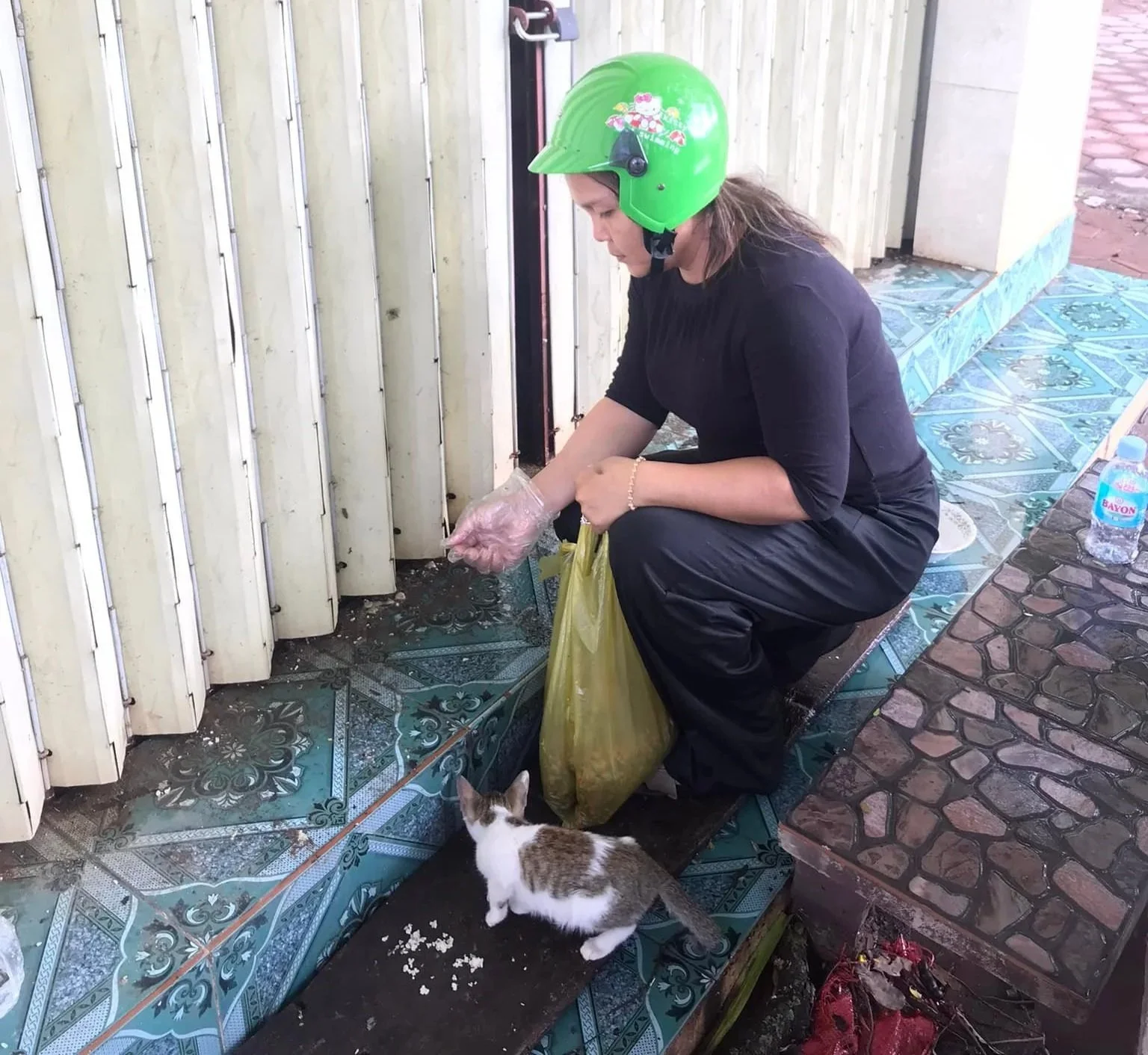 Kong is feeding stray animals in siem reap