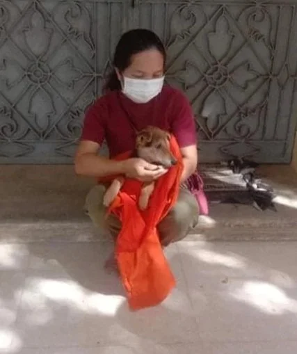 A woman wearing a face mask and red shirt crouches on the ground holding a small dog wrapped in an orange cloth.