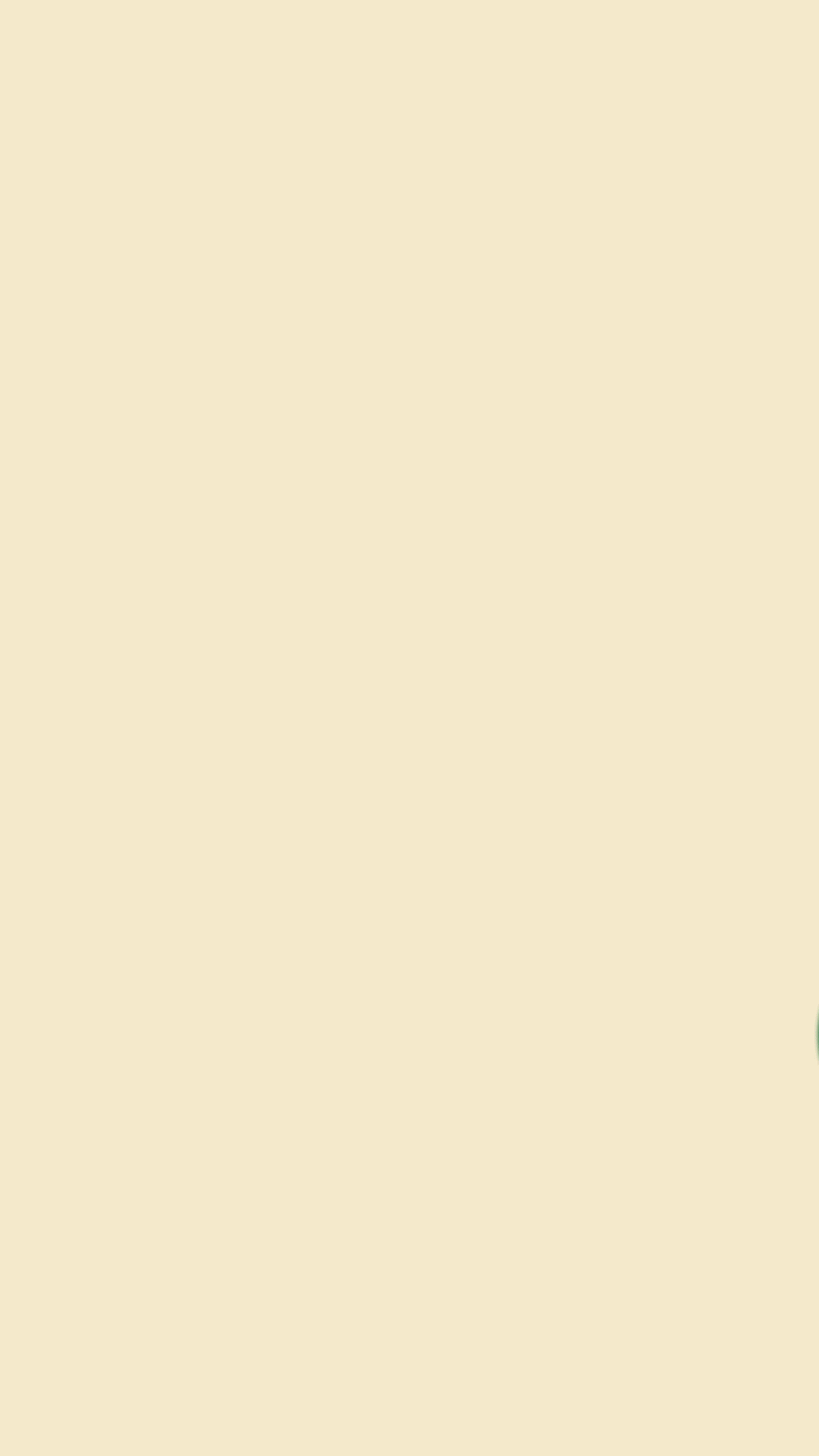MATCHAKIN-DEC-25---BAUHAUS_2.gif