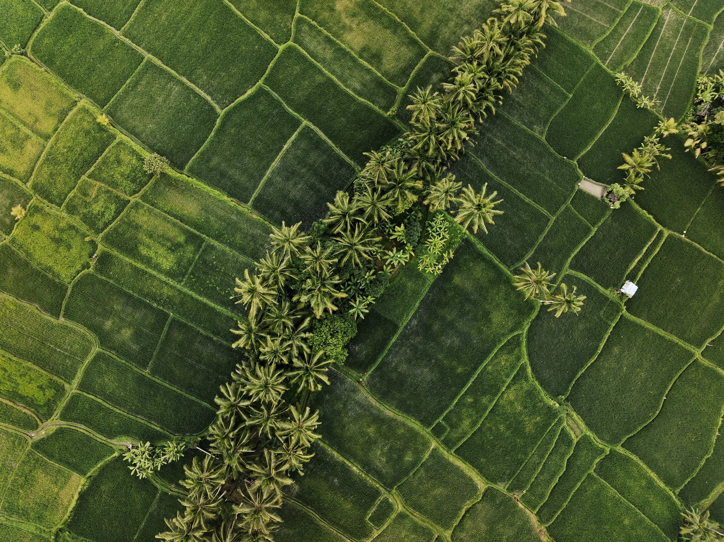 T_DJI_20250509171655_0340_D_SCS-3.jpg