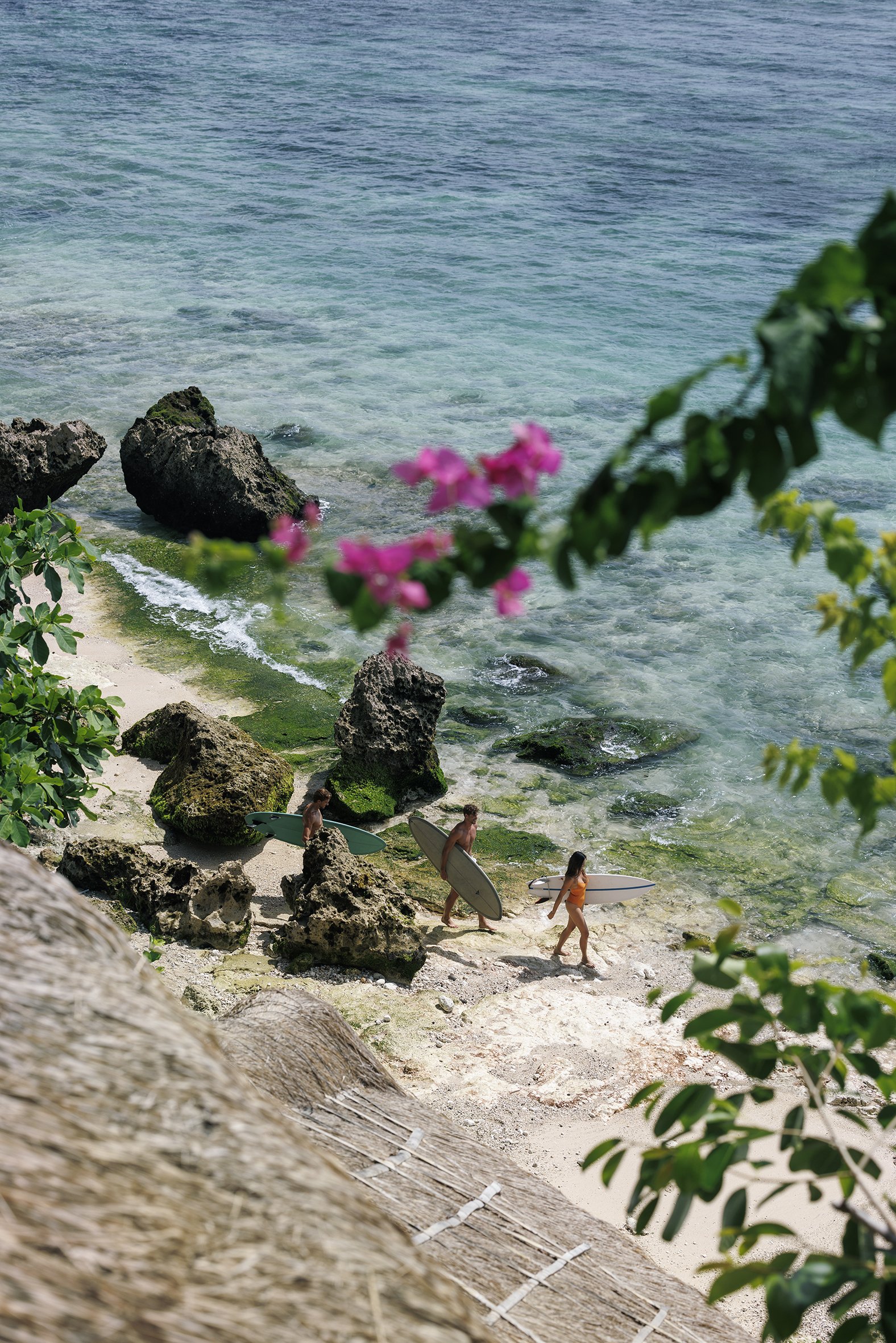 T_Paradisus_20250507_101_a.jpg
