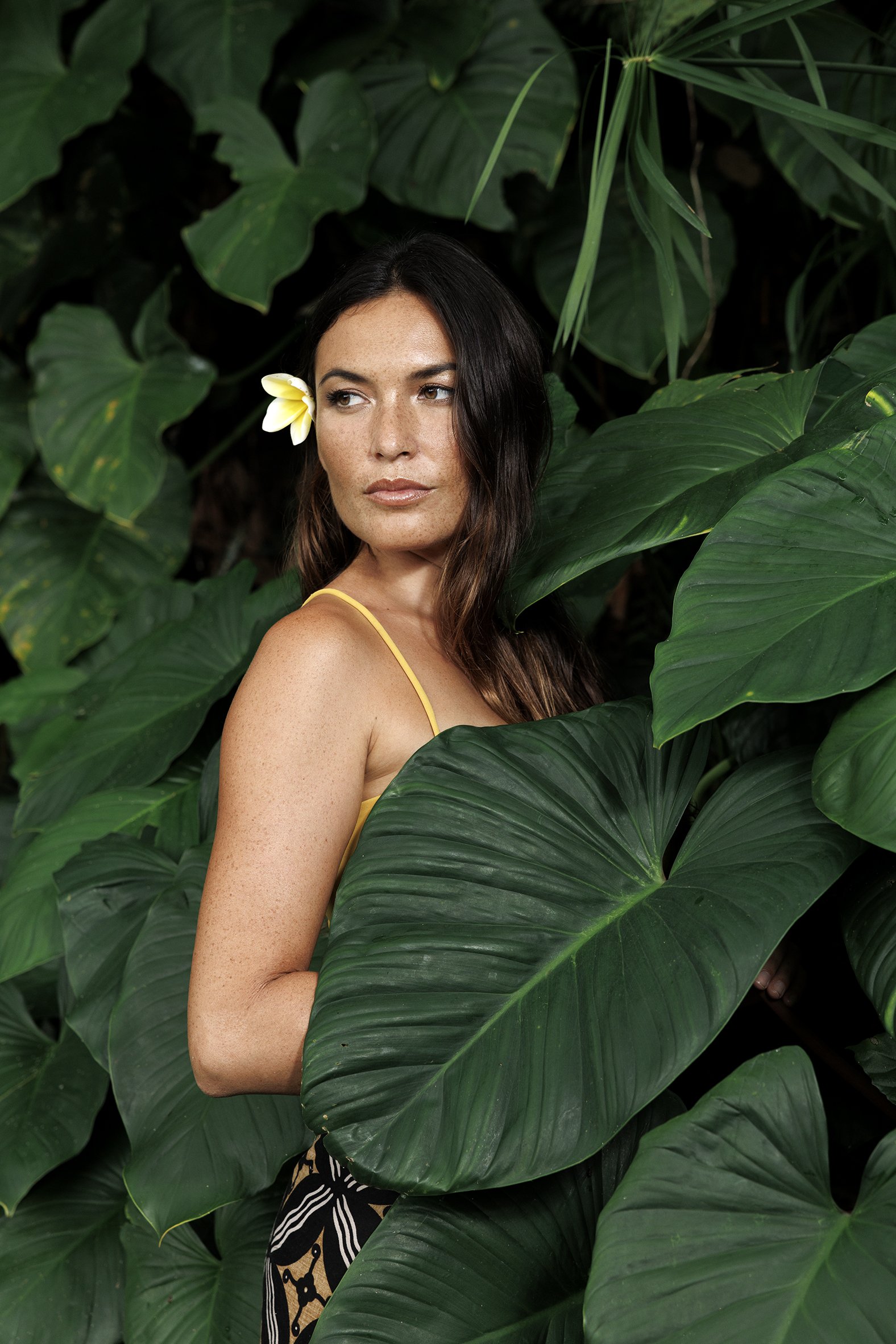 T_Paradisus_20250508_3566_а.jpg