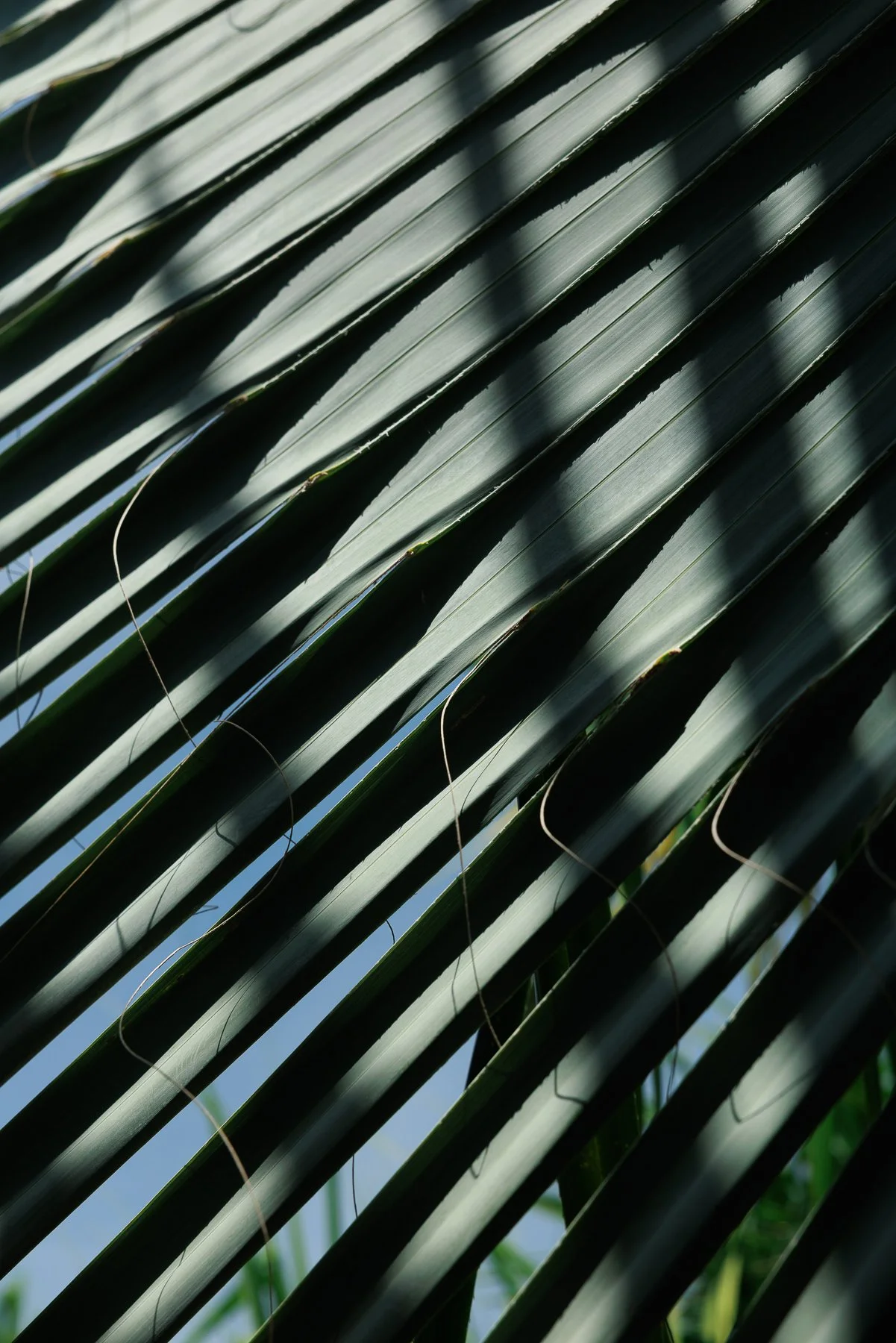 T_035A1700.jpg