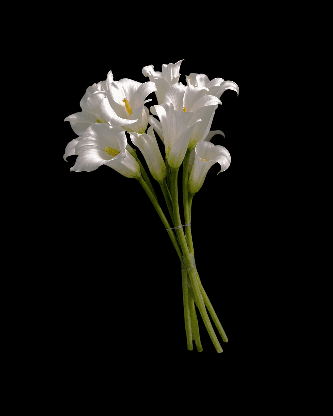 Slide 7.gif