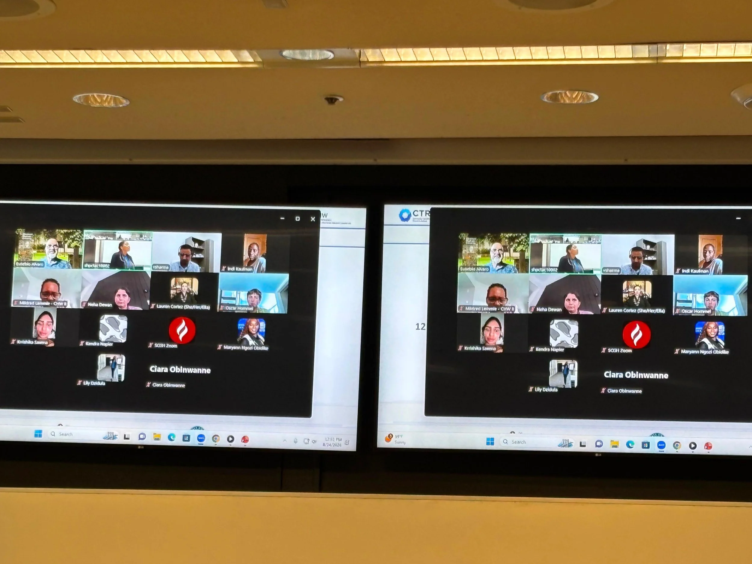 CMHW Trainees joining online