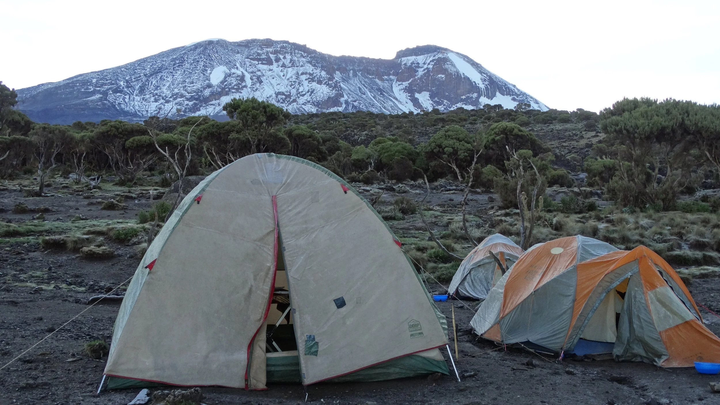 Twee tenten op een bergkam met een besneeuwde berg op de achtergrond en bomen eromheen.