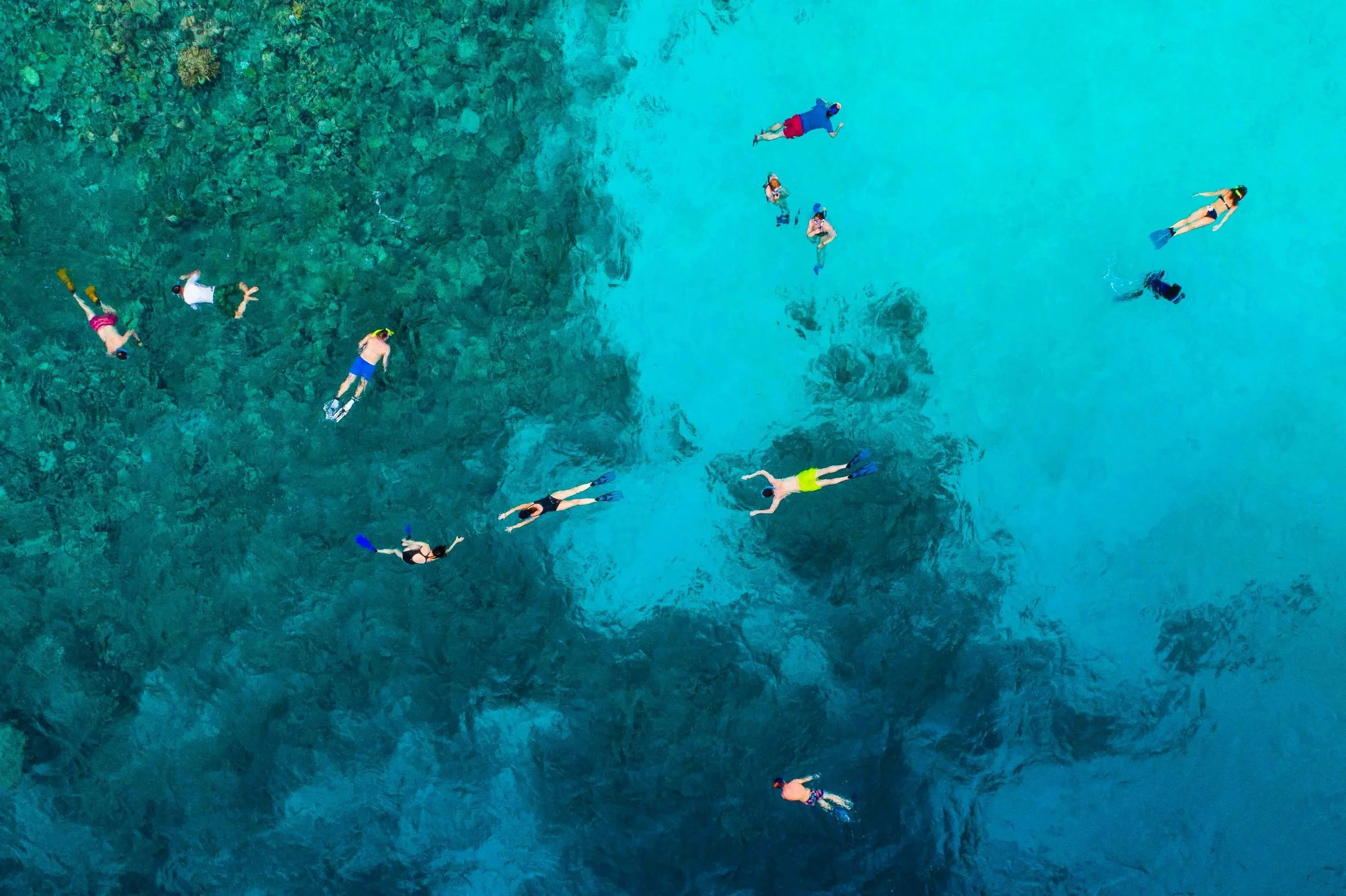 Mensen zwemmen in een helder turquoise water met zicht op de ondergrond. Sommigen dragen snorkeluitrusting en zwemvliezen, anderen zwemmen zonder uitrusting.