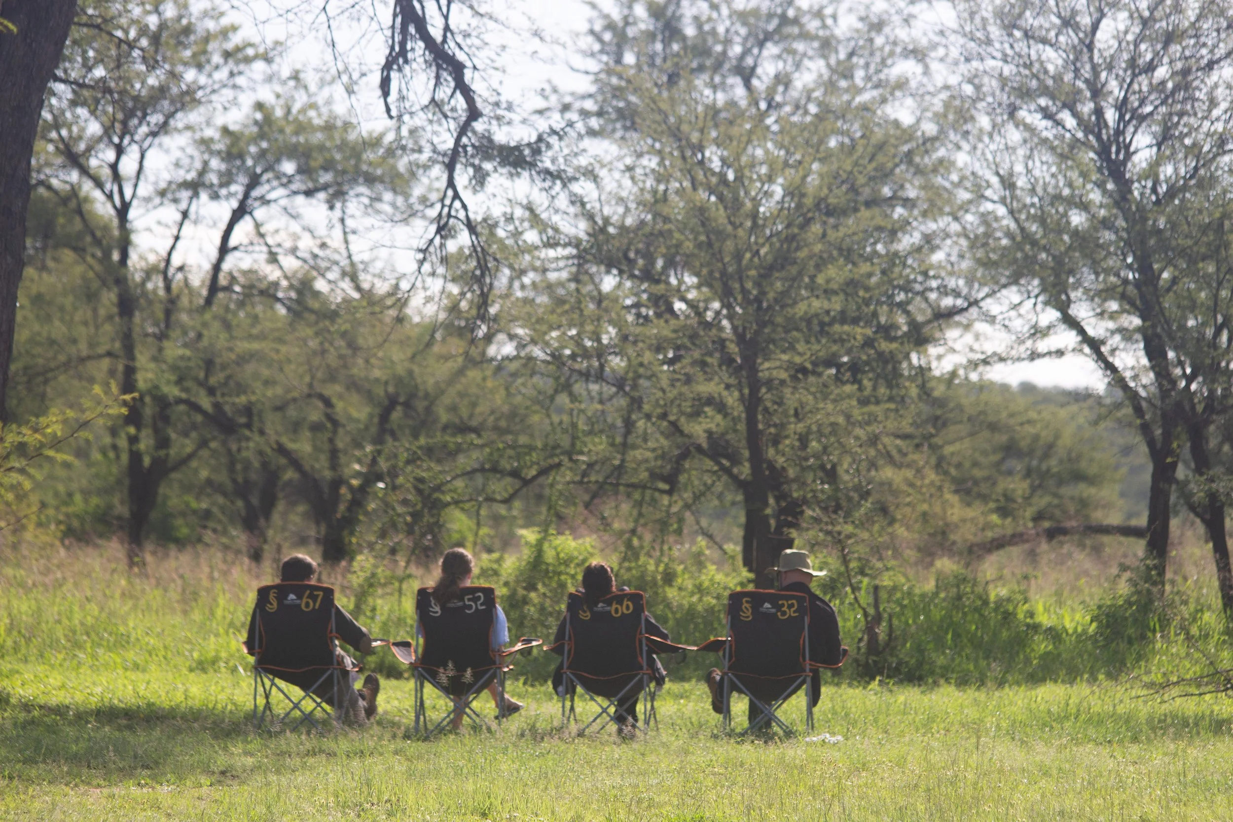 Vier mensen zitten op campingstoelen in een open veld, omringd door bomen, met hun ruggen naar de camera.