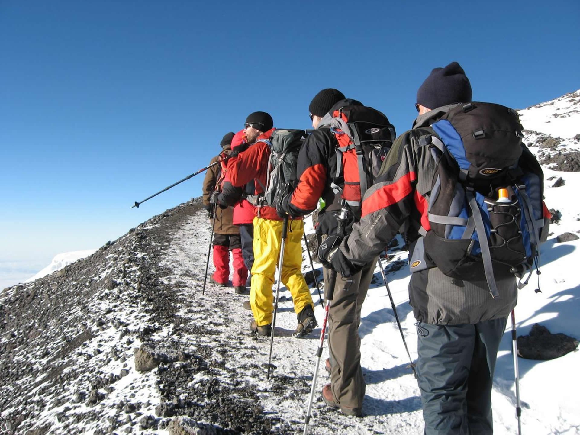 Vijf mensen in winterkleding en rugzakken, wandelend op een besneeuwde bergpiek onder een heldere blauwe lucht.