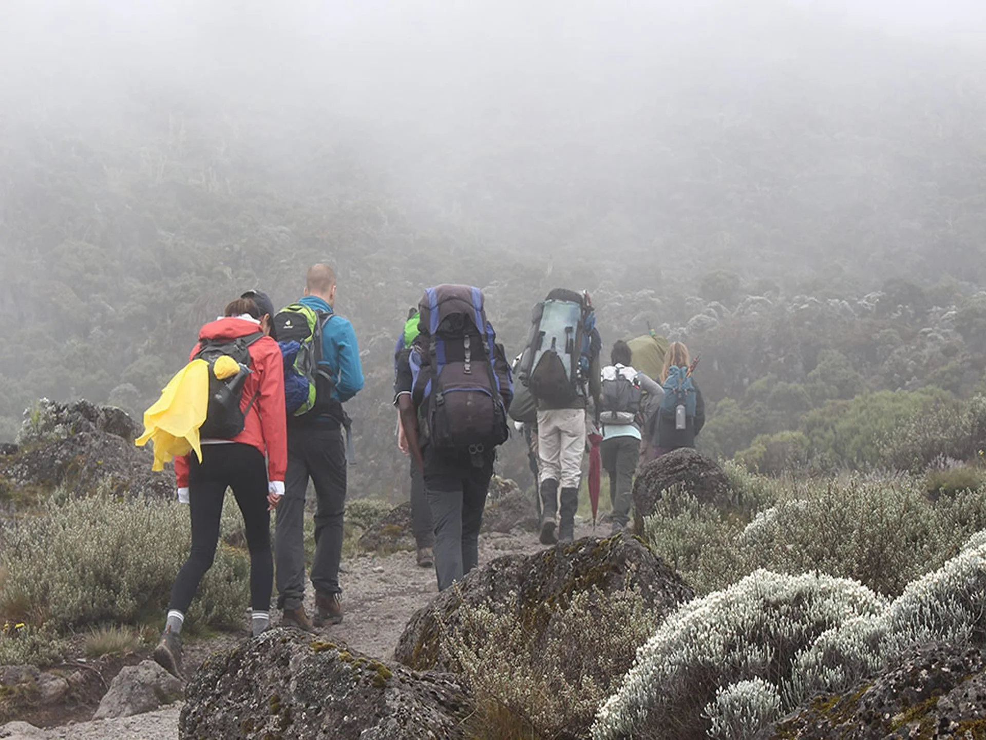 Groep backpackers wandelt over een bergpad in een mistige omgeving met groene vegetatie en stenen.