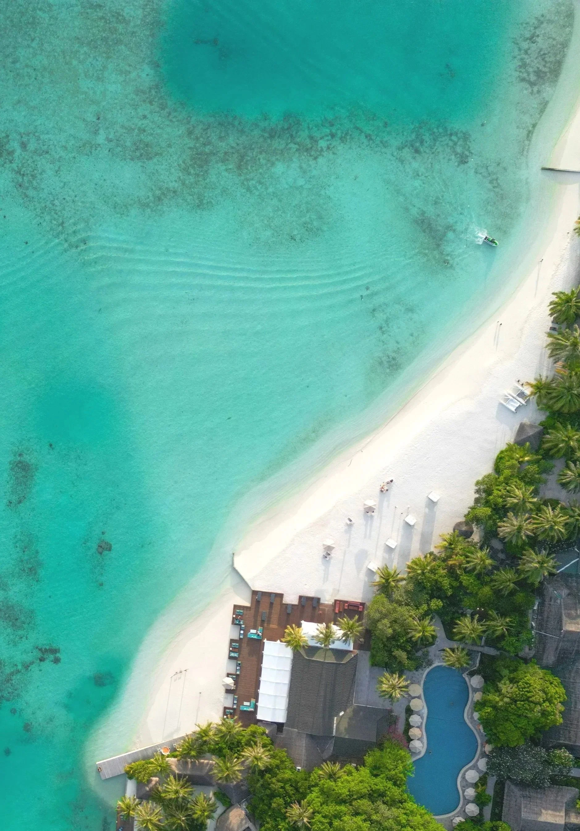 Luchtfoto van een turquoise golf met een wit zandstrand en enkele parasols, palmbomen en een zwembad met ligbedden eromheen.