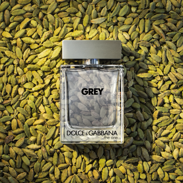 TOPSHOT_CARDAMONE-3-600_600.png