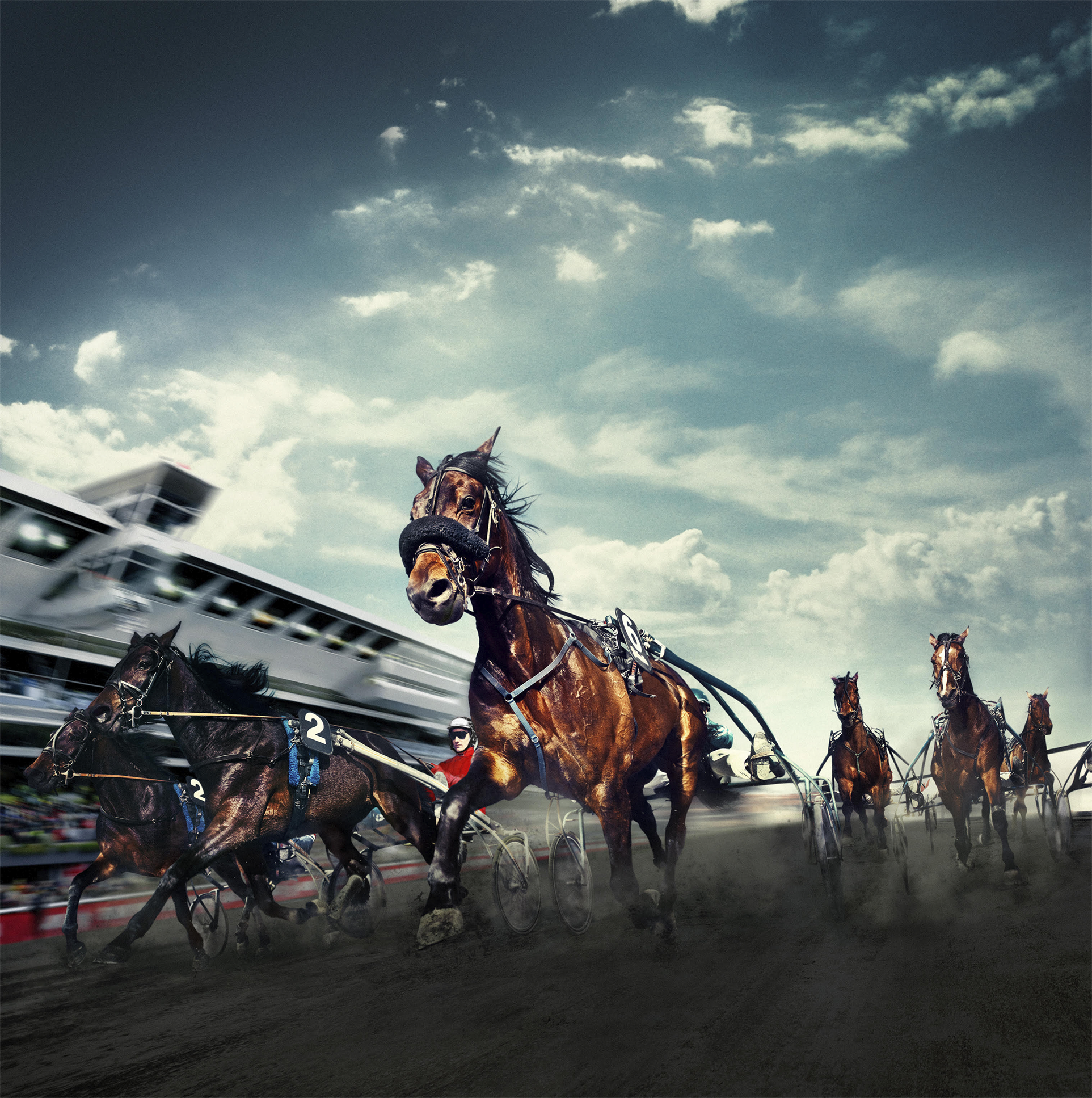 LE TROT