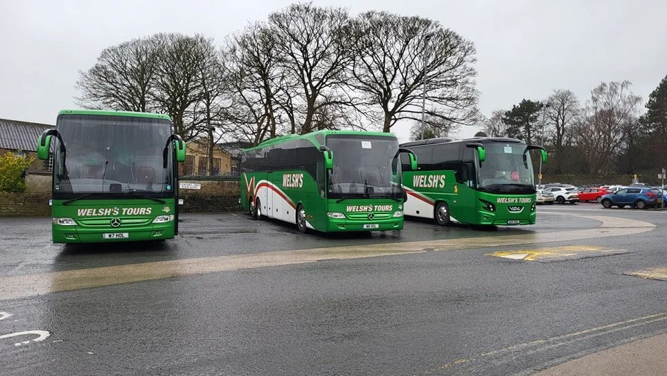 Three green tour buses parked in a lot on a cloudy day with leafless trees in the background.