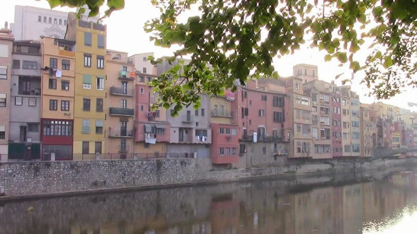 Colorful apartment buildings along a river with trees overhead.