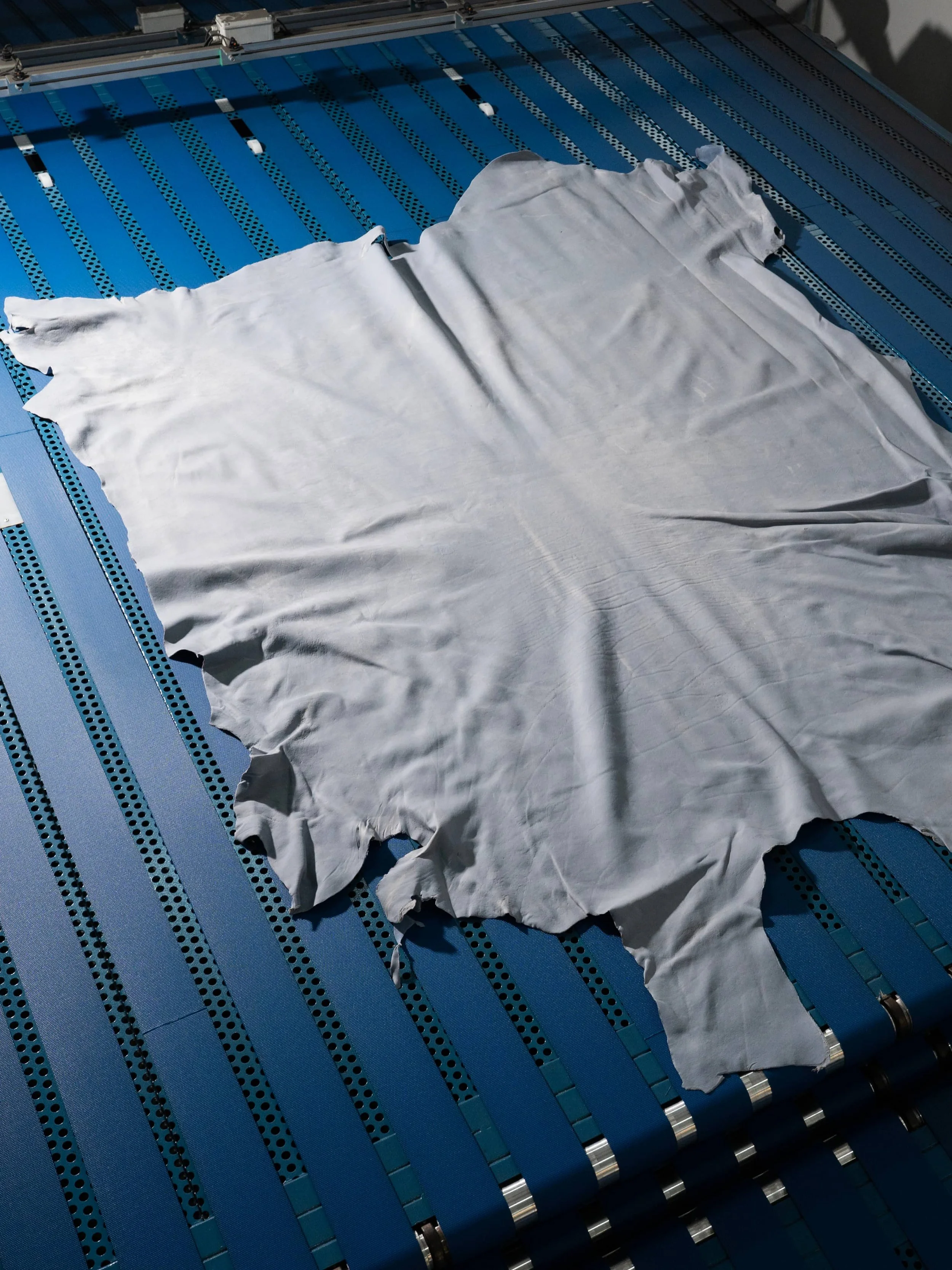 Misurazione elettronica della pelle Wet Blue – Italpelli