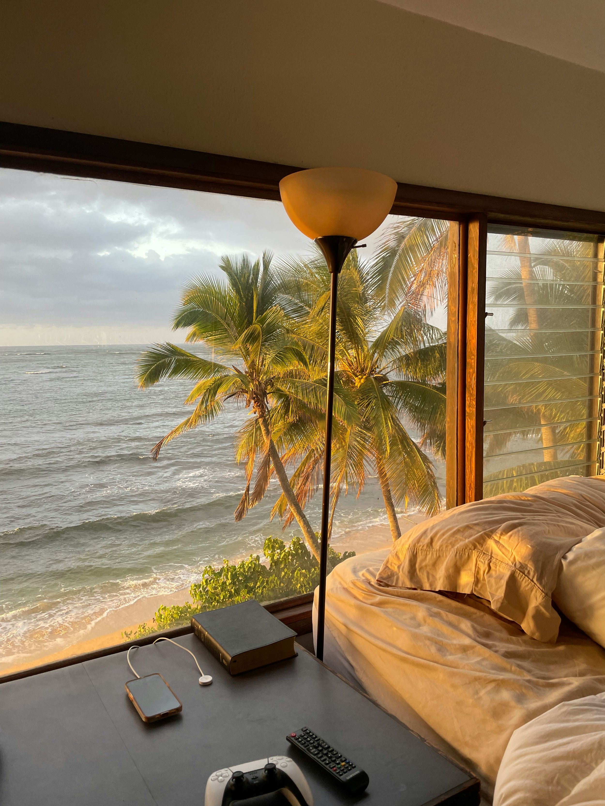 Beachside view of palm trees outside a window, with a bed, a floor lamp, a book, a smartphone, a TV remote, and a game controller inside the room.