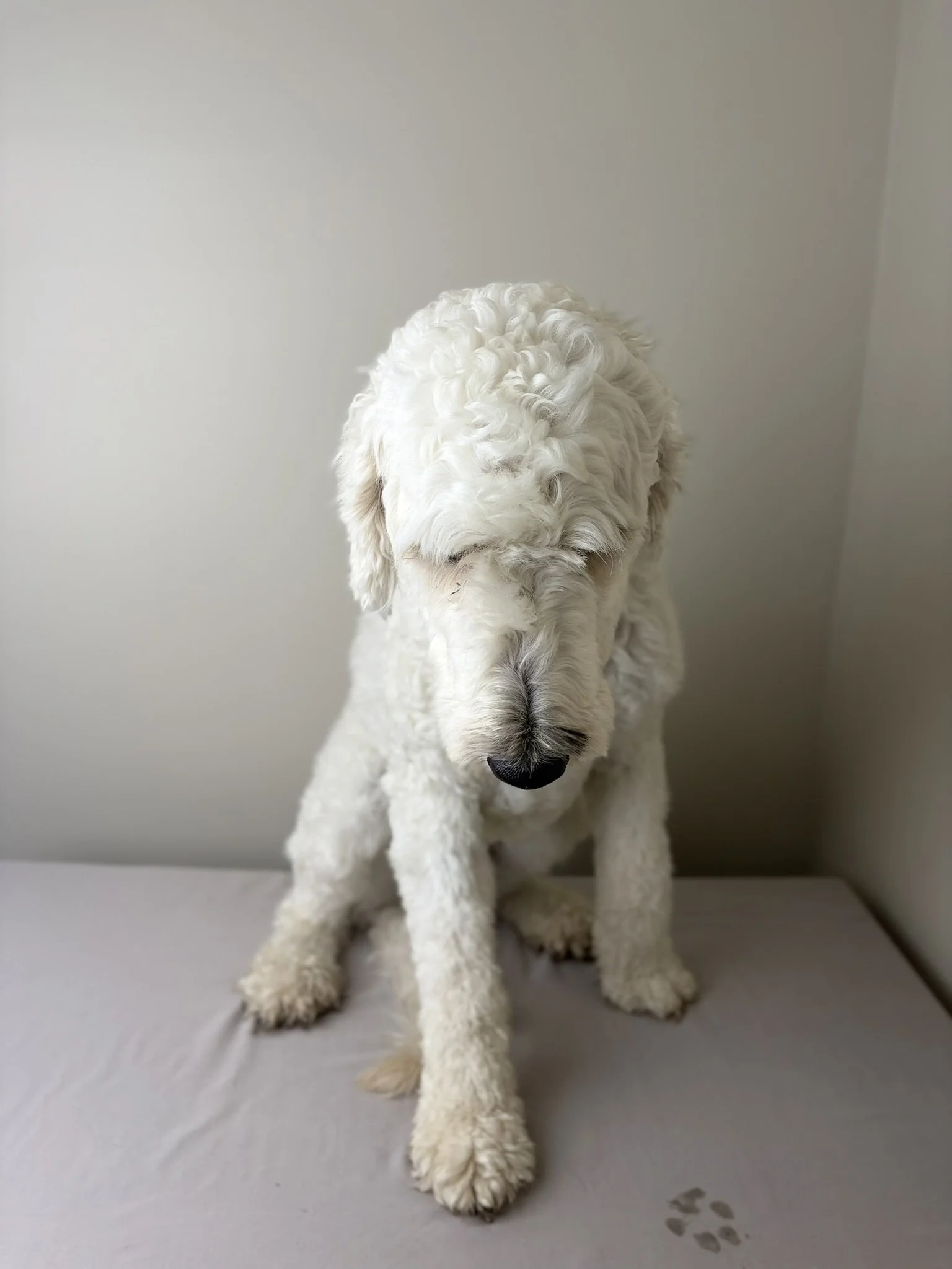 Emmy - Full Groom