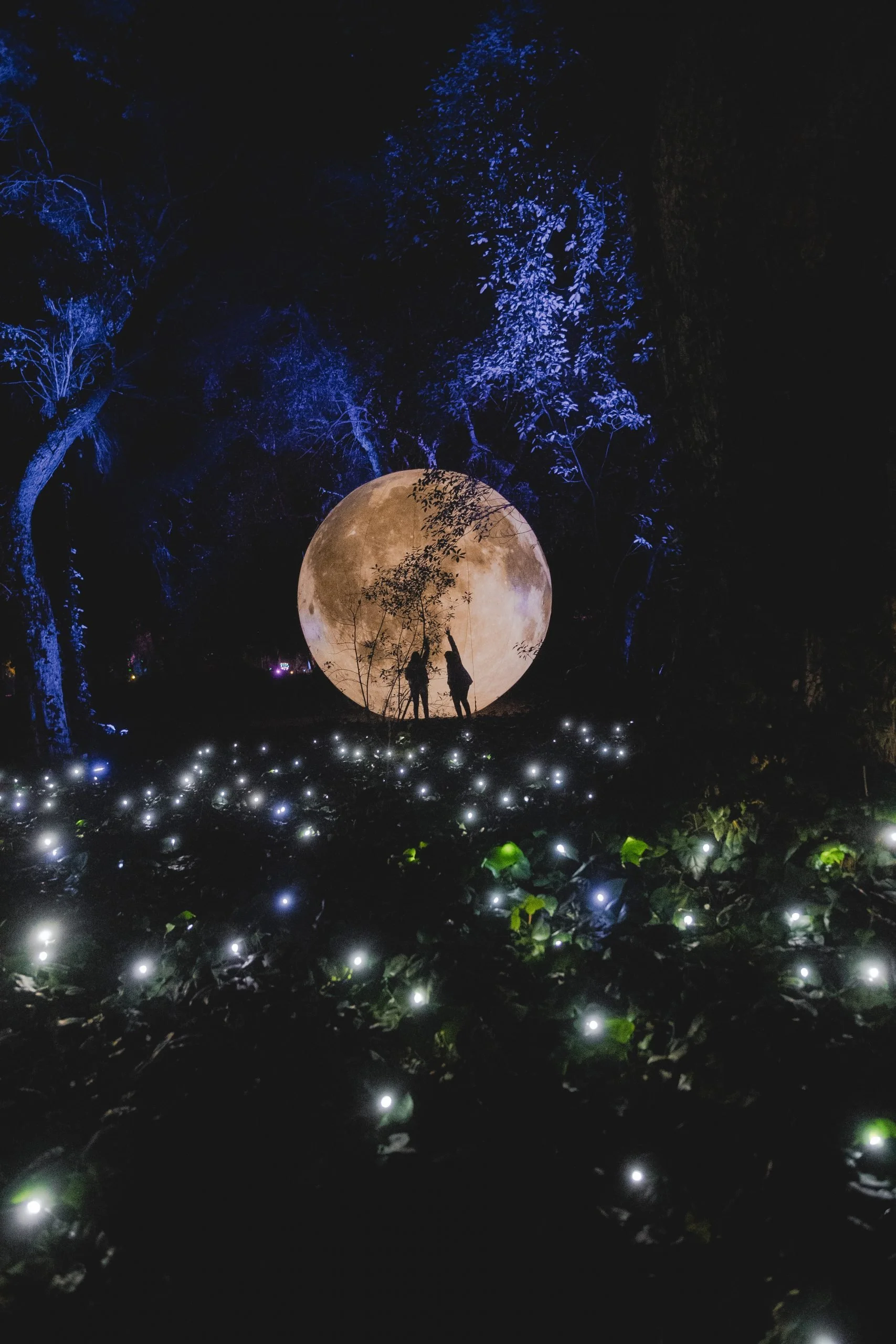 Two silhouetted people reaching toward the moon with trees and blue lighting in a dark forest, surrounded by glowing lights on the ground.
