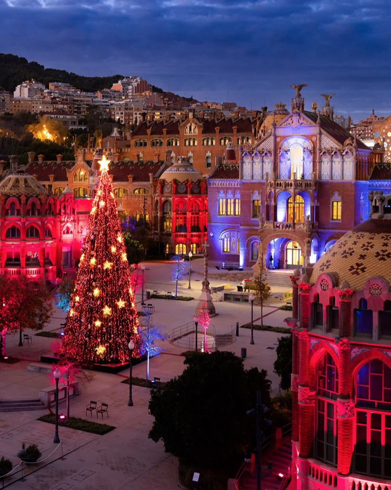Christmas tree decorated with lights and ornaments in a city square at night, surrounded by colorful historic buildings illuminated in pink and blue.