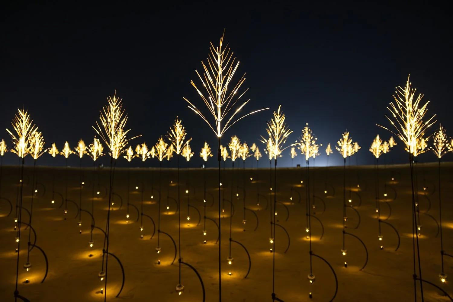 Night scene with illuminated artificial Christmas trees arranged in rows on a dark background.