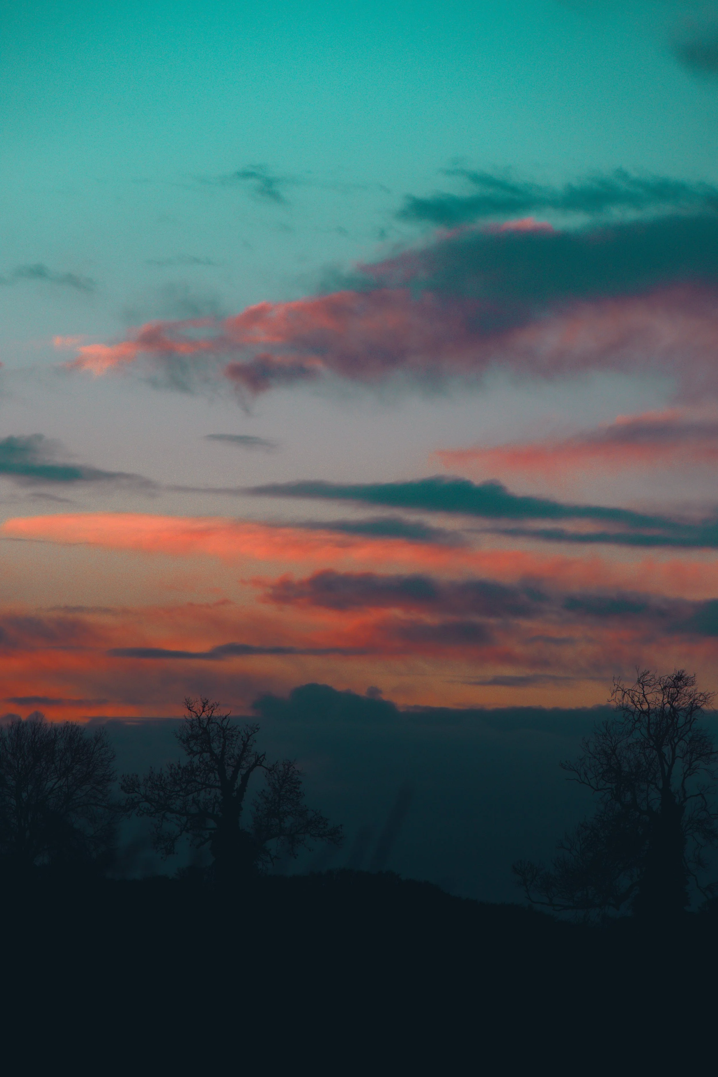 Sunset #2