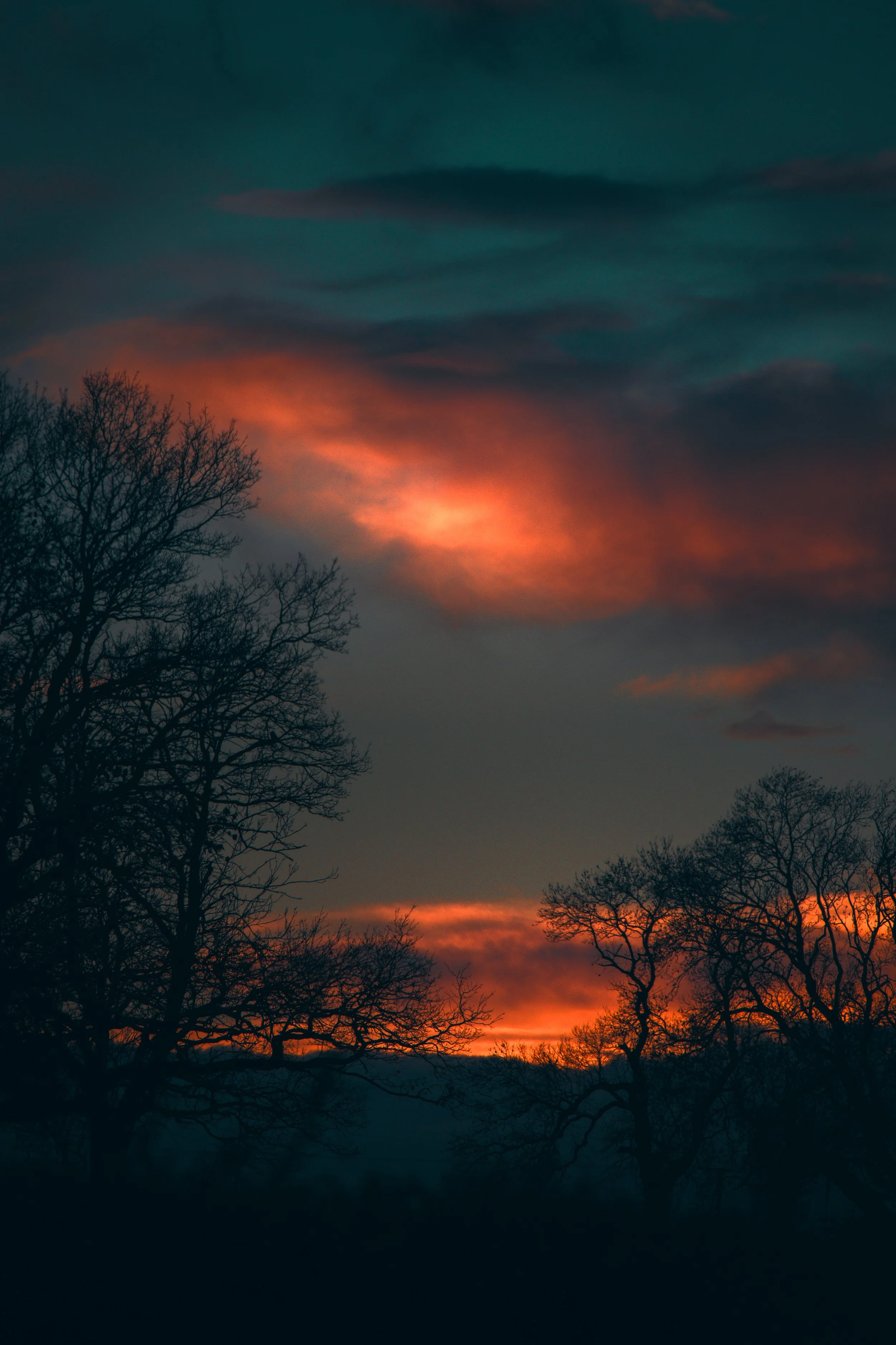 Sunset #1