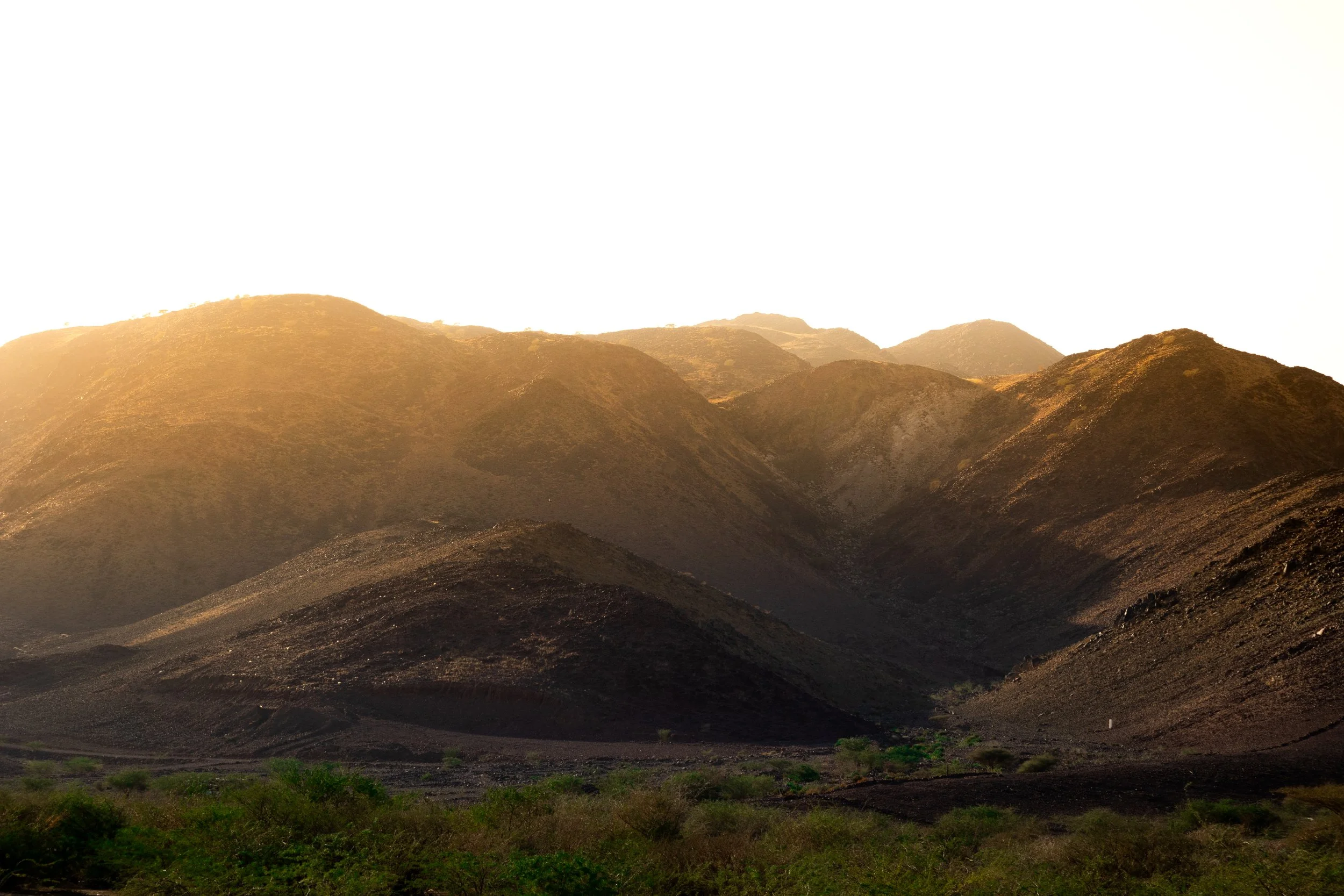 Aziz's Captures-15.jpg