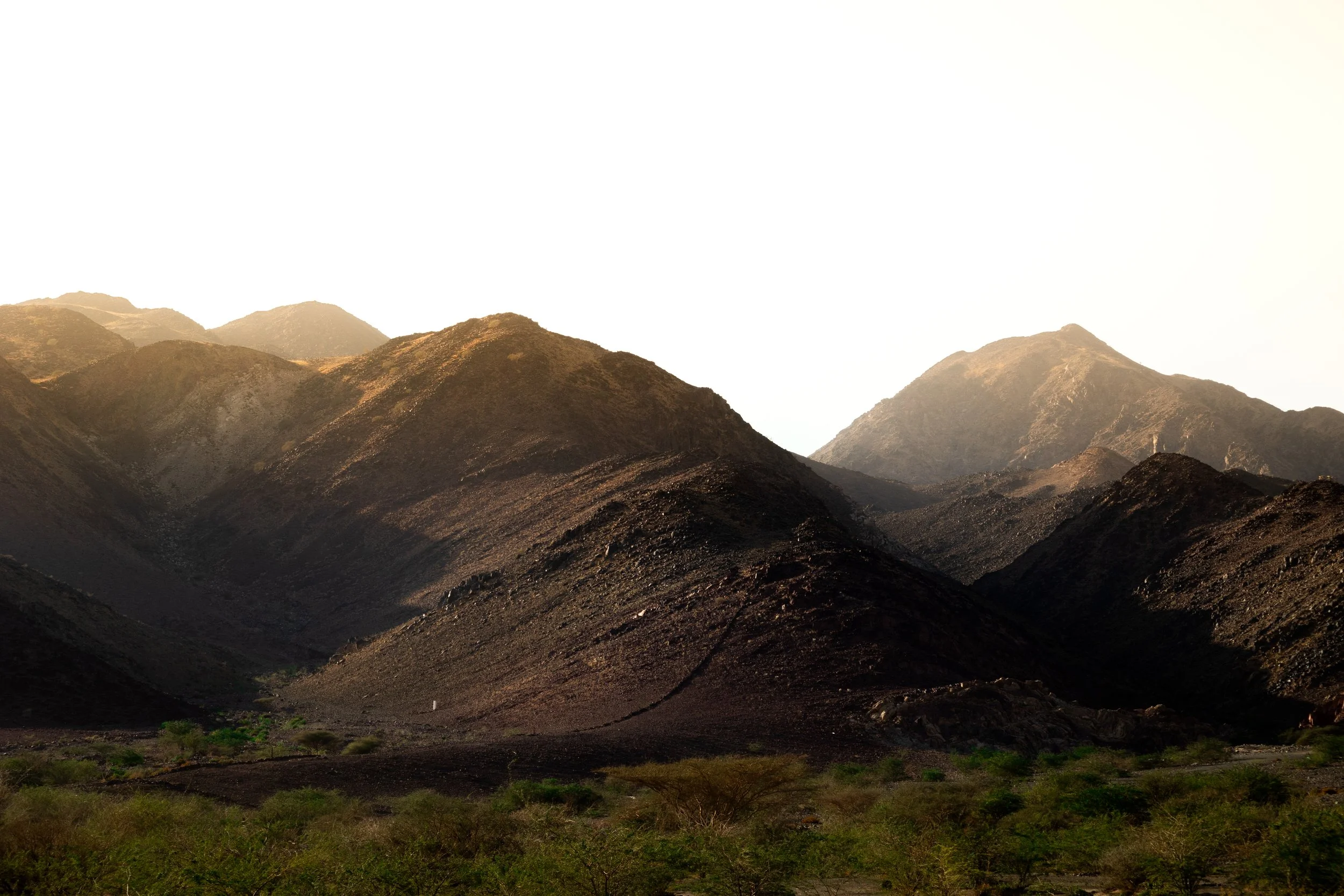 Aziz's Captures-13.jpg