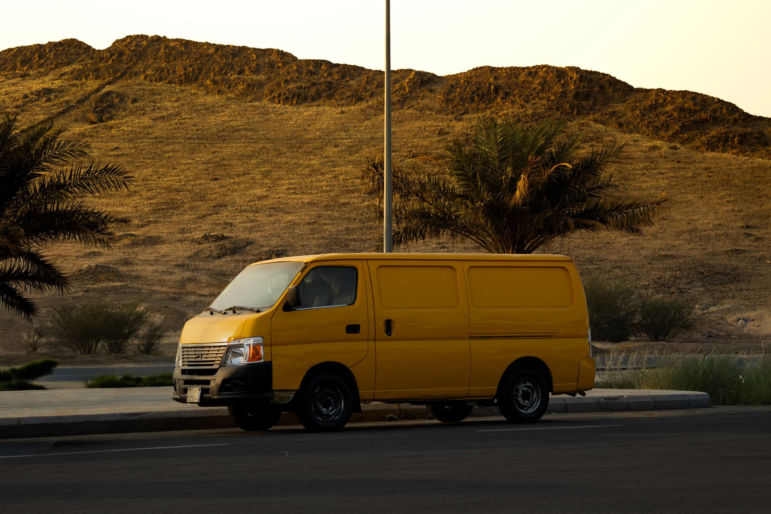 Aziz's Captures-08-2.jpg