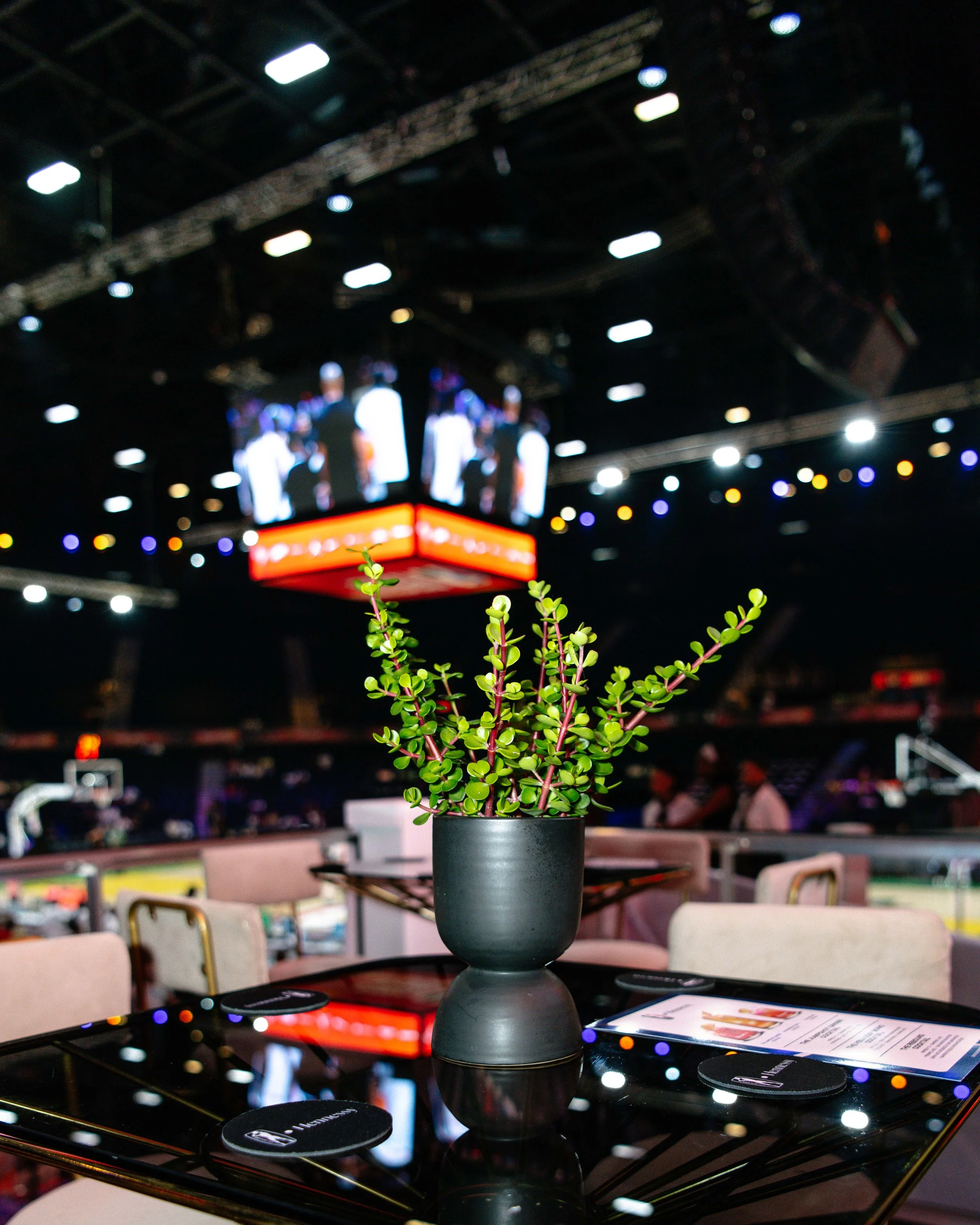 A small potted green plant with reddish stems on a shiny black table in a large indoor venue with a blurred screen displaying people in the background.