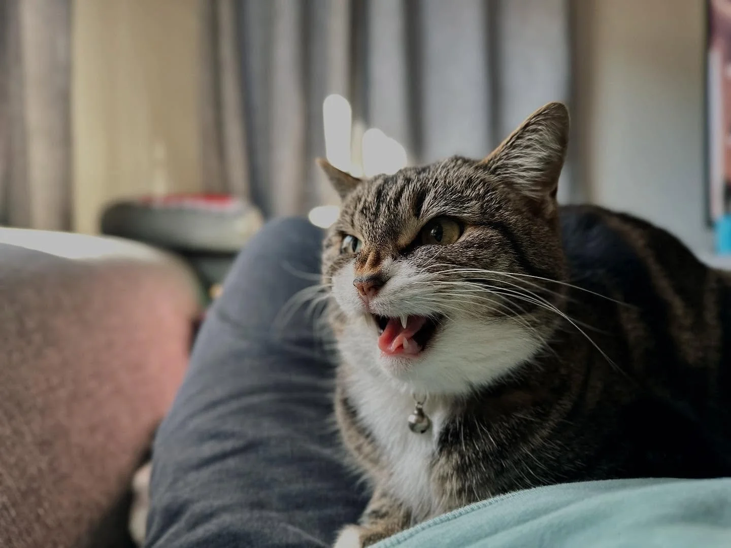 She pissed because we made it winter.