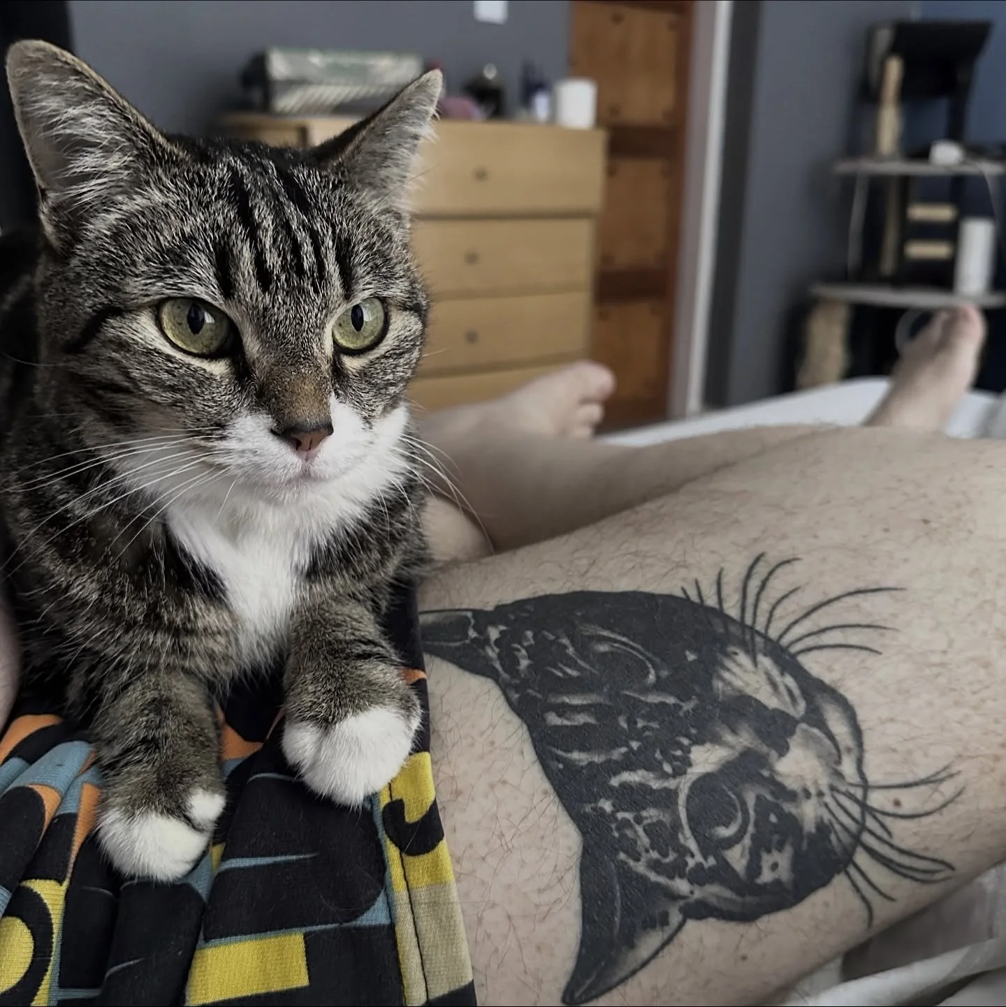 Miso on Miso by @marigoldtattoos