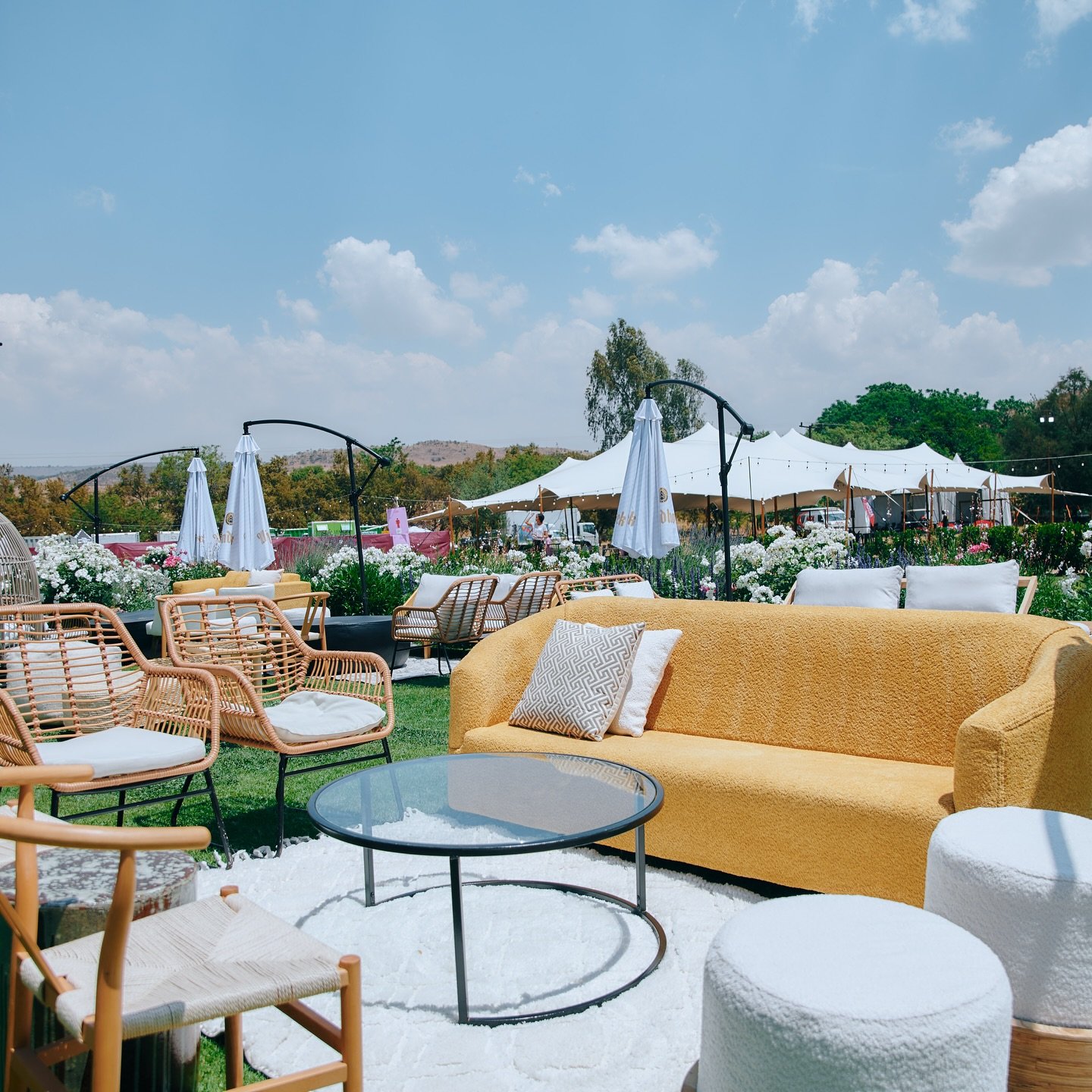 Outdoor seating area with yellow sofa, rattan chairs with white cushions, glass coffee table on a white rug, surrounded by white flowers and umbrellas under a blue sky.