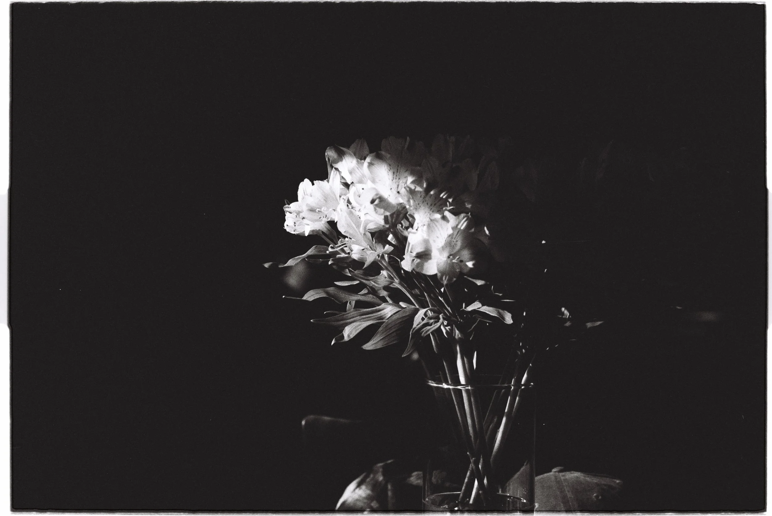 Blomster