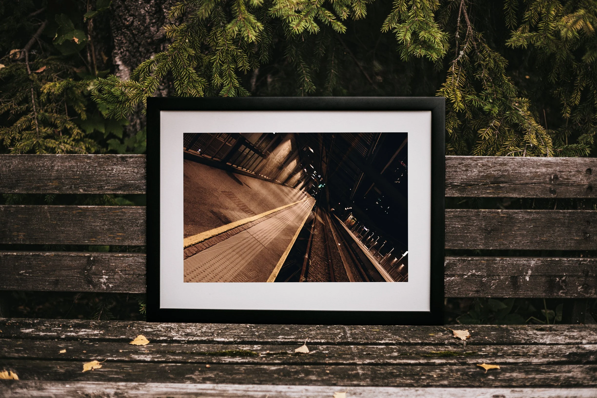 2L4A6763-Edit.jpg