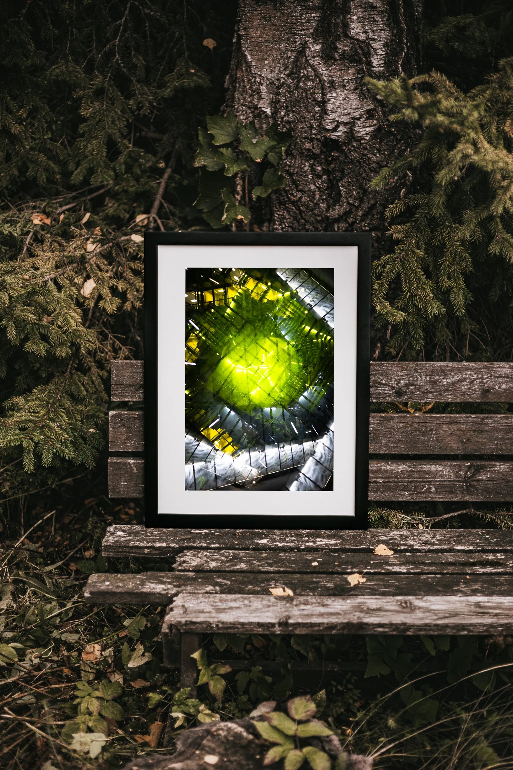 2L4A6765-Edit-4.jpg