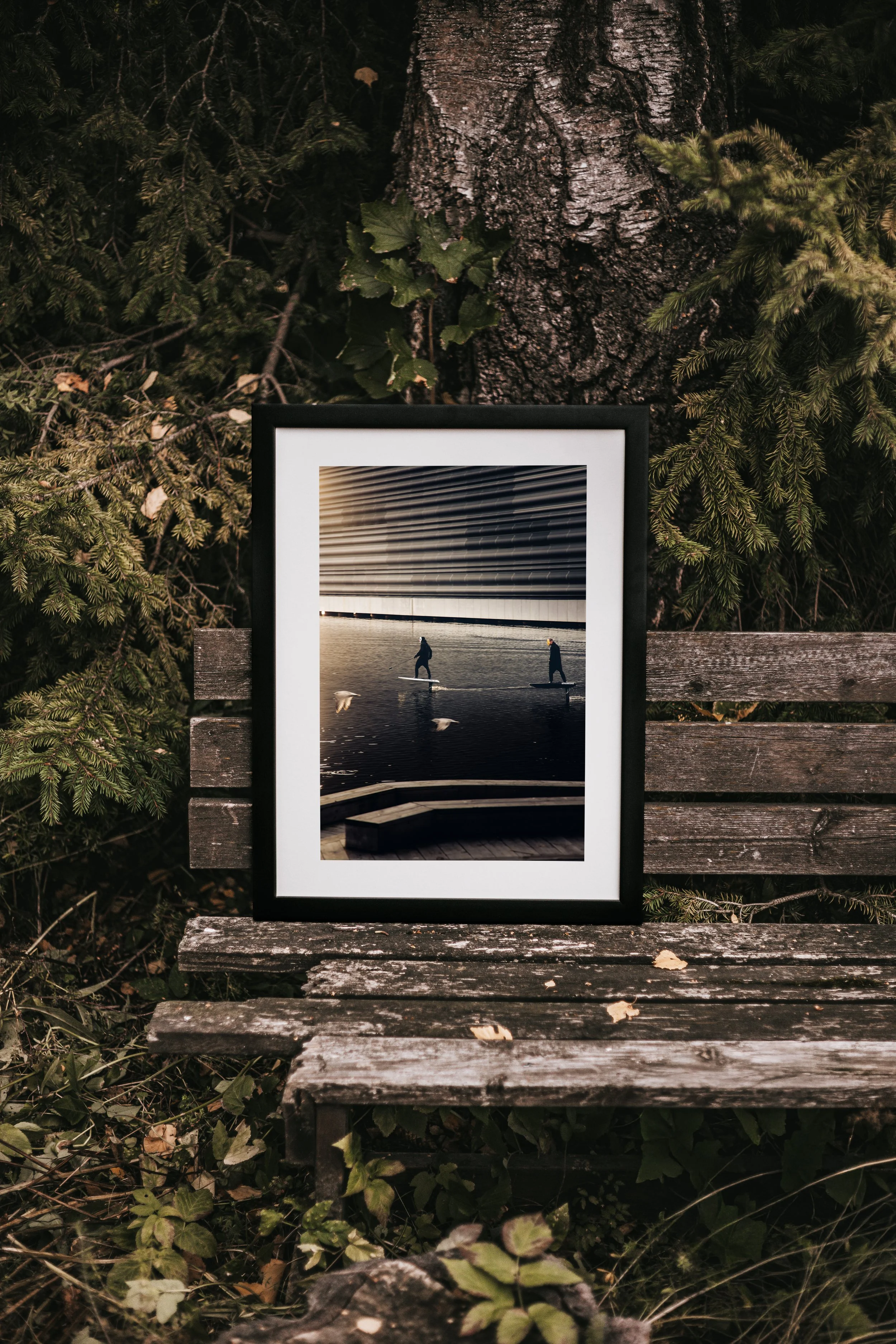 2L4A6765-Edit-6.jpg
