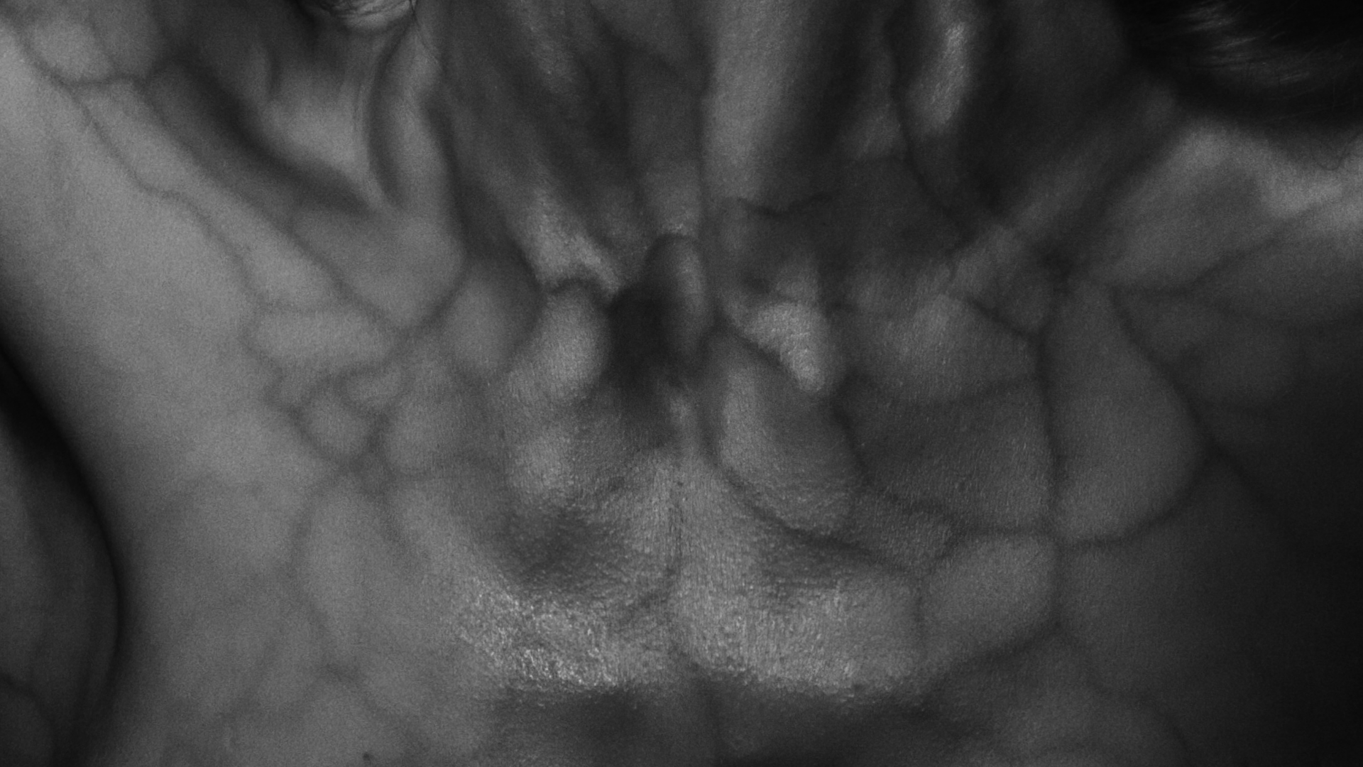 Close-up black and white image of the textured skin of a person's face, focusing on the area around the nose and surrounding skin.