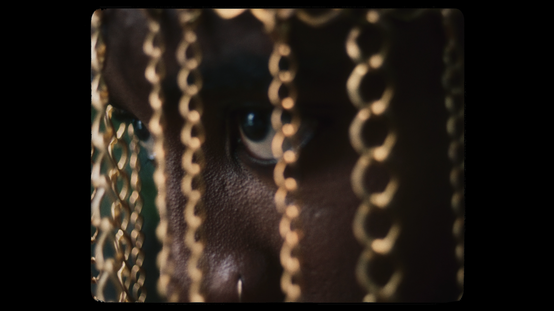 Close-up of a person's face partially obscured by hanging gold chains, with only one eye visible through the chains.
