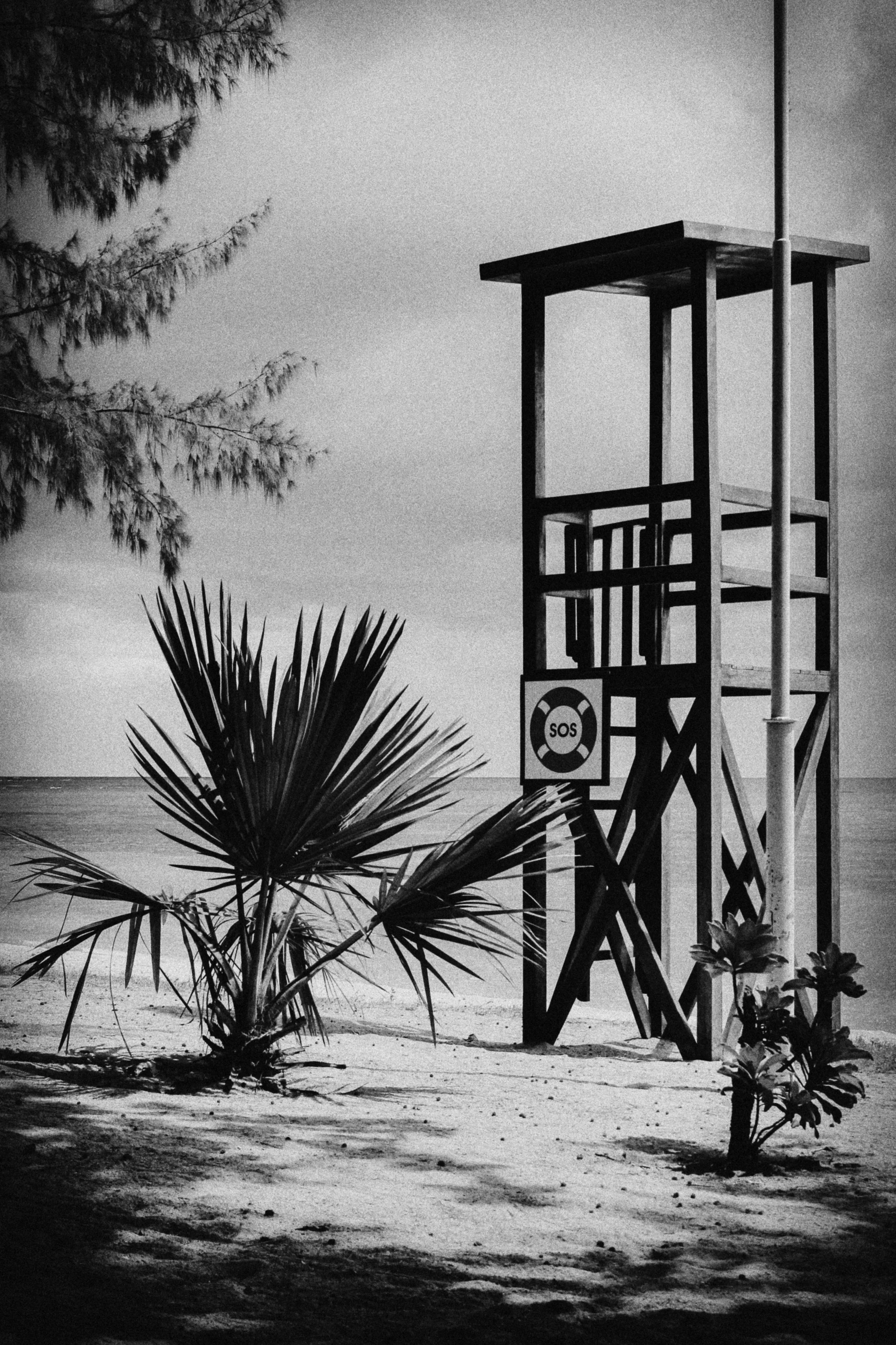 B&W 6.jpeg