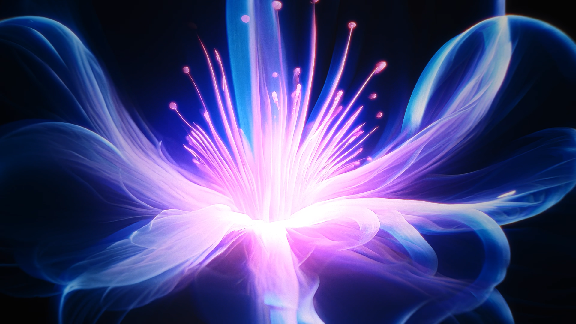 A vibrant, glowing flower with purple, pink, and blue light streaks emanating from its center against a dark background.