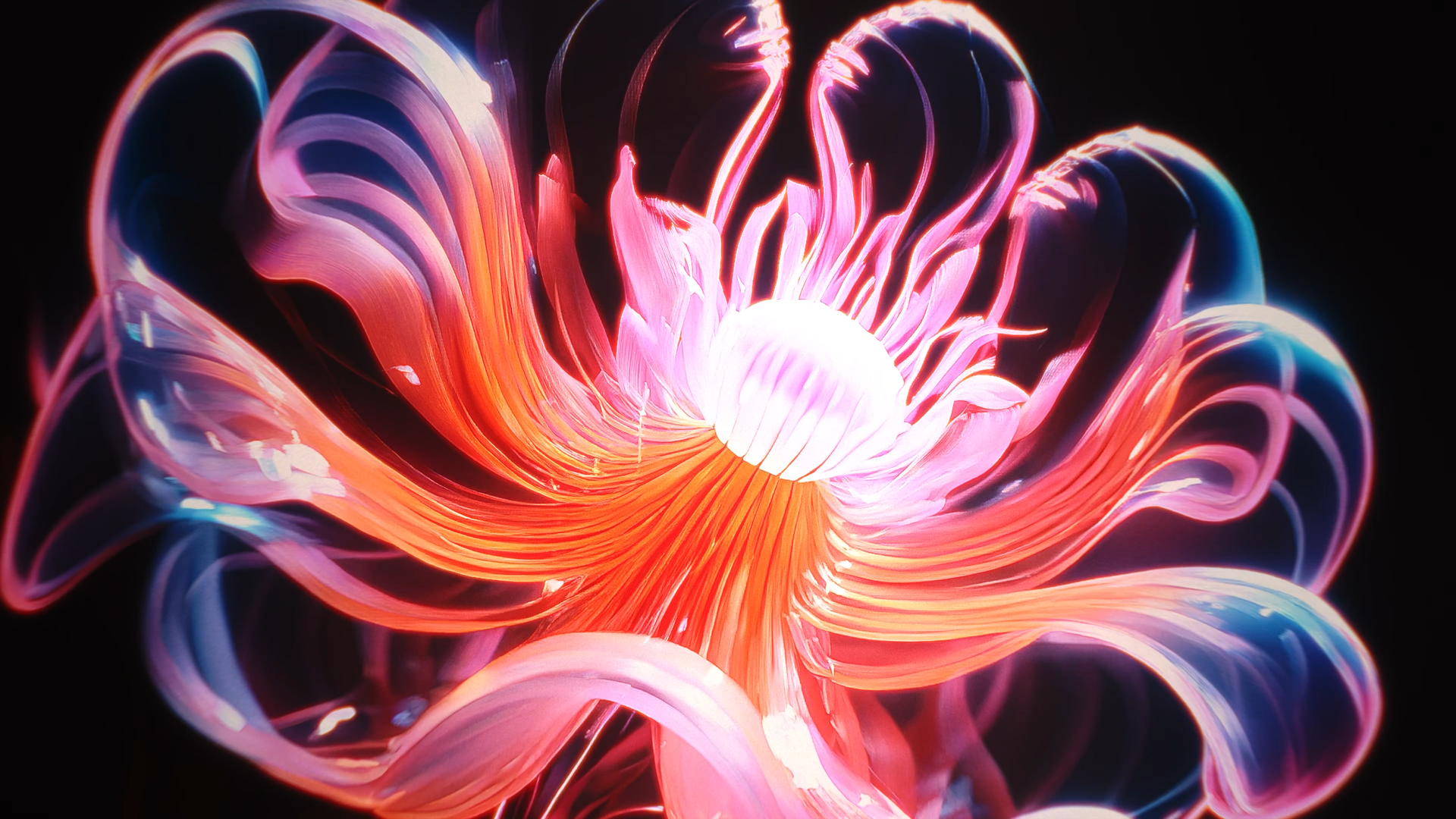 Abstract digital art of a glowing, multicolored flower with swirling, ribbon-like petals against a dark background.